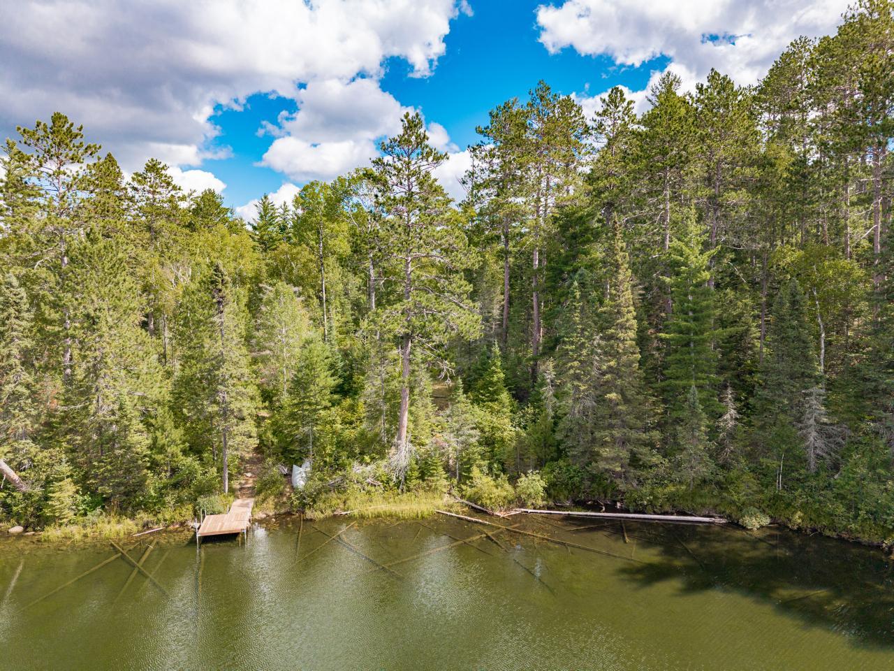 10401 Gunsten Lake Drive Property Photo 19