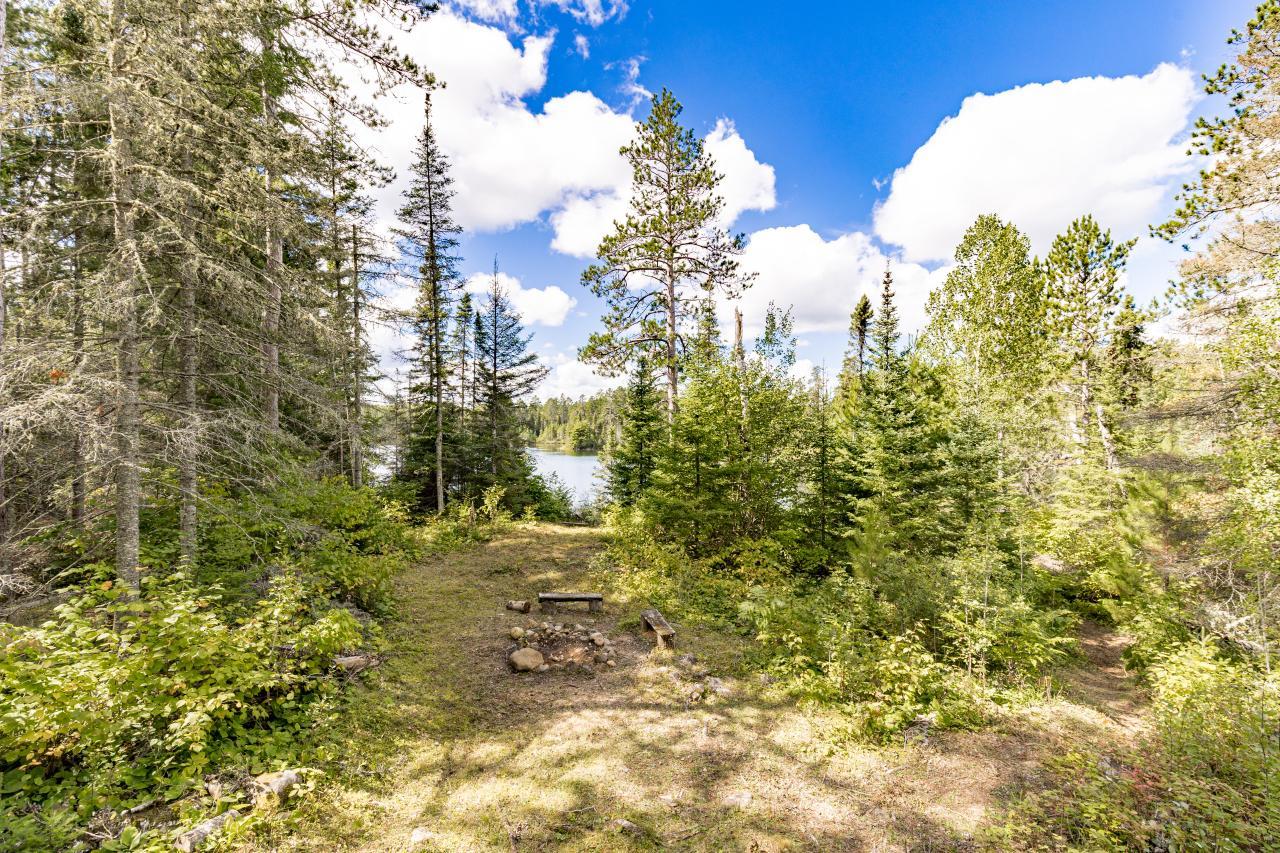 10401 Gunsten Lake Drive Property Photo 42