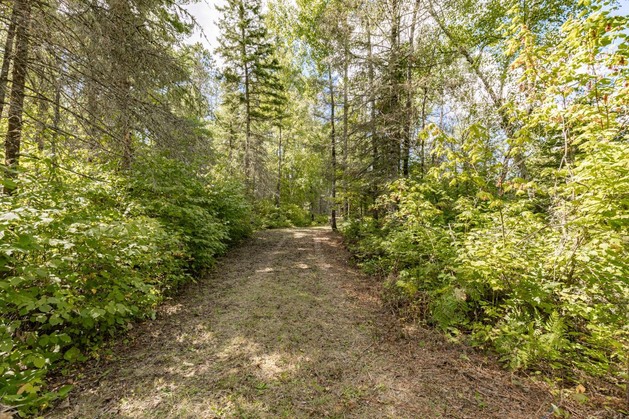 10401 Gunsten Lake Drive Property Photo 57