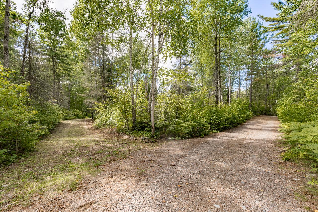 10401 Gunsten Lake Drive Property Photo 58