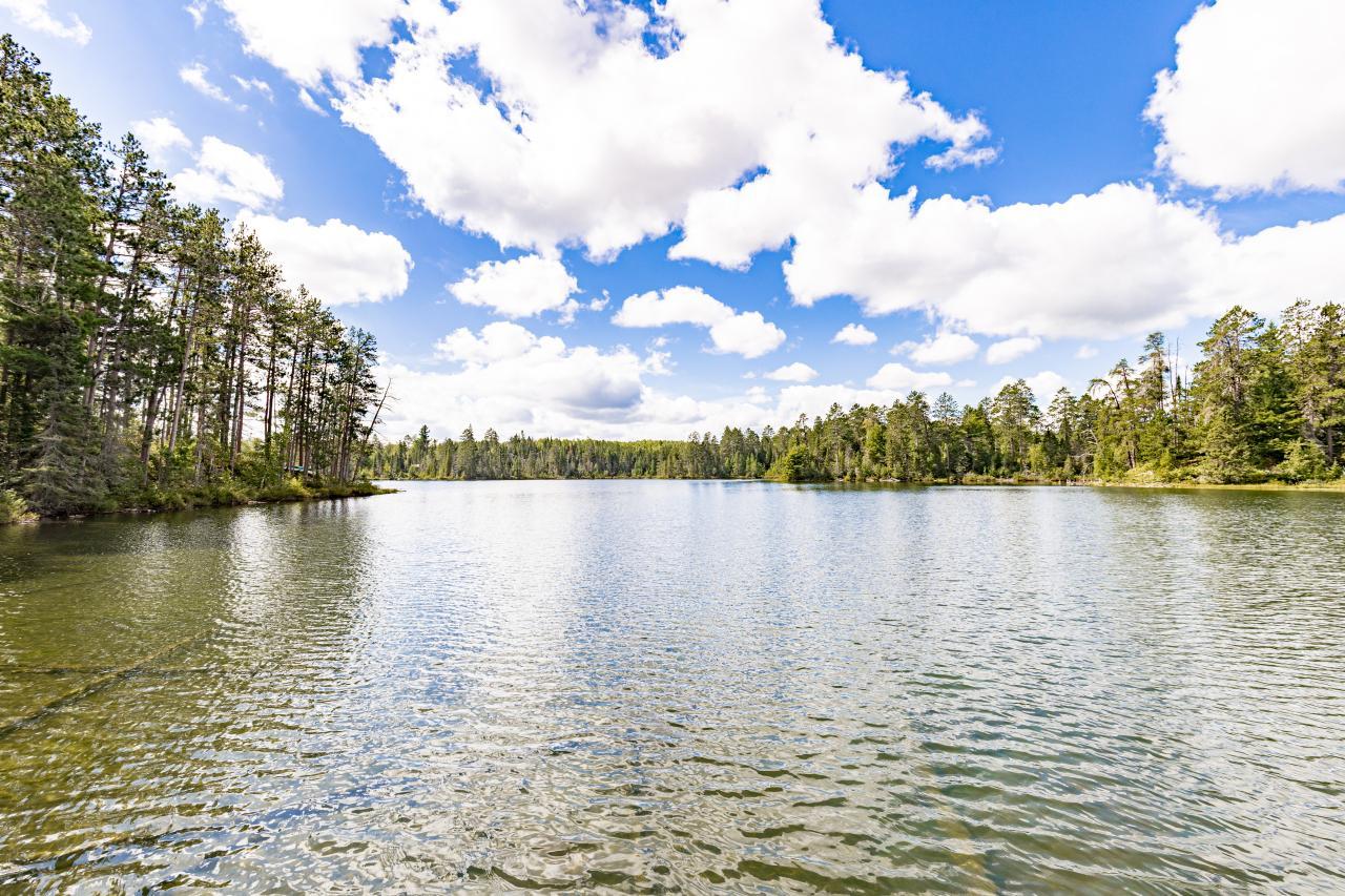 10401 Gunsten Lake Drive Property Photo 65
