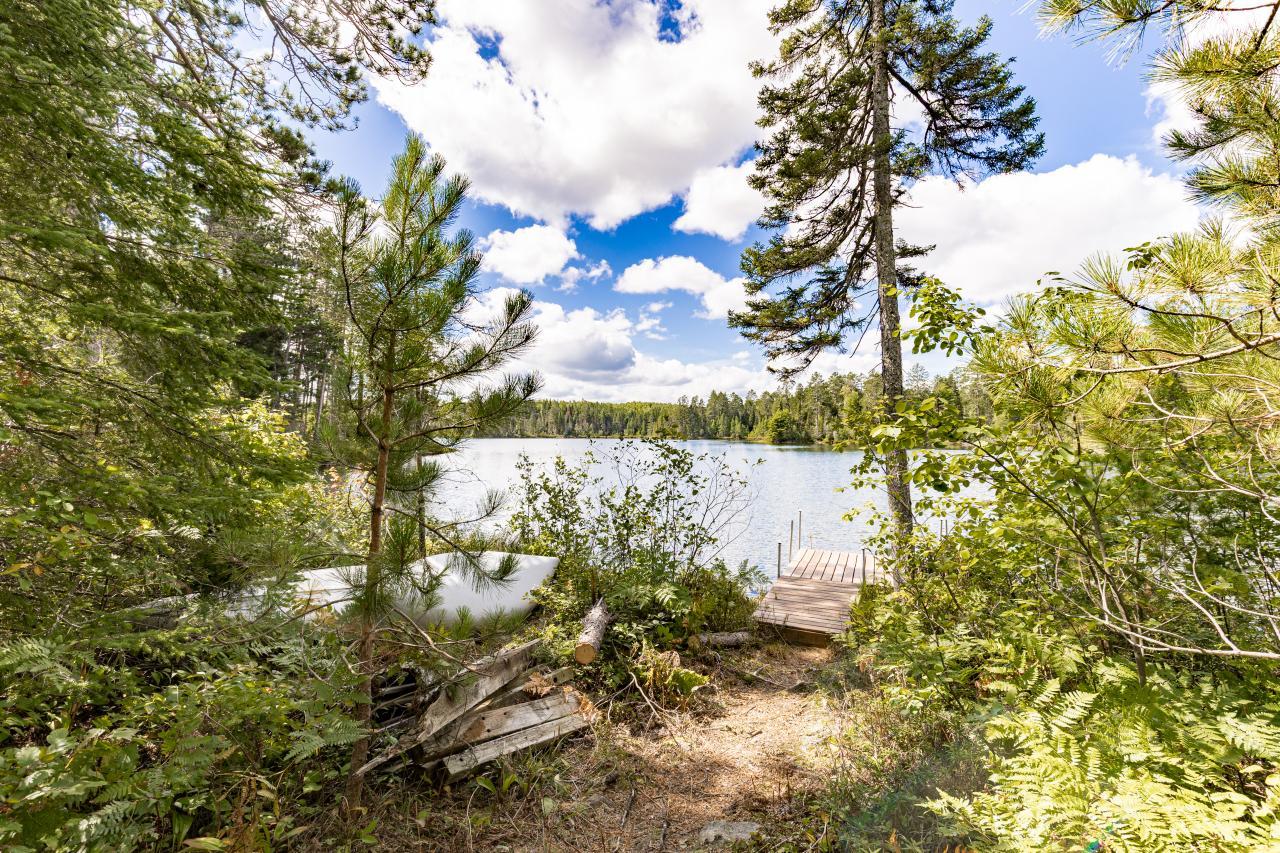 10401 Gunsten Lake Drive Property Photo 67