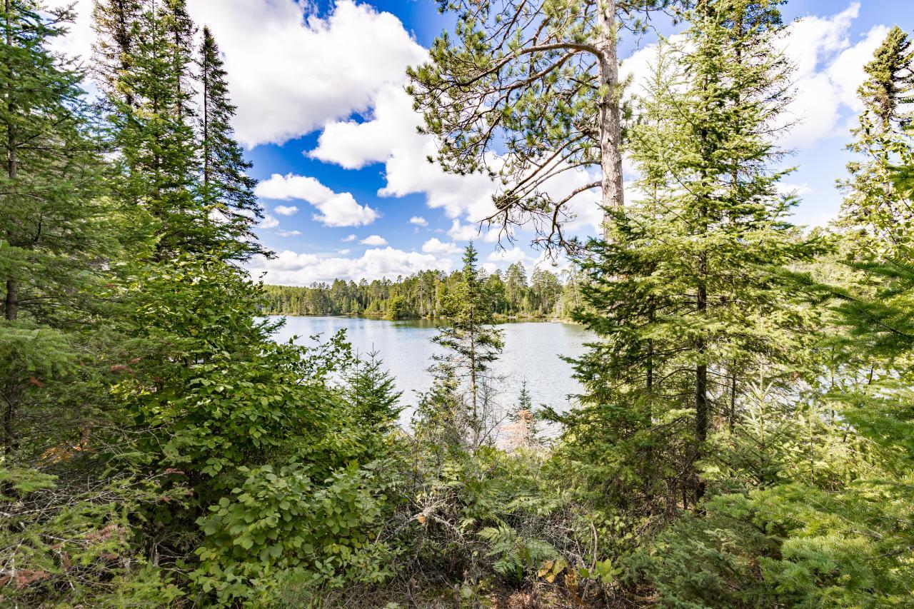 10401 Gunsten Lake Drive Property Photo 68