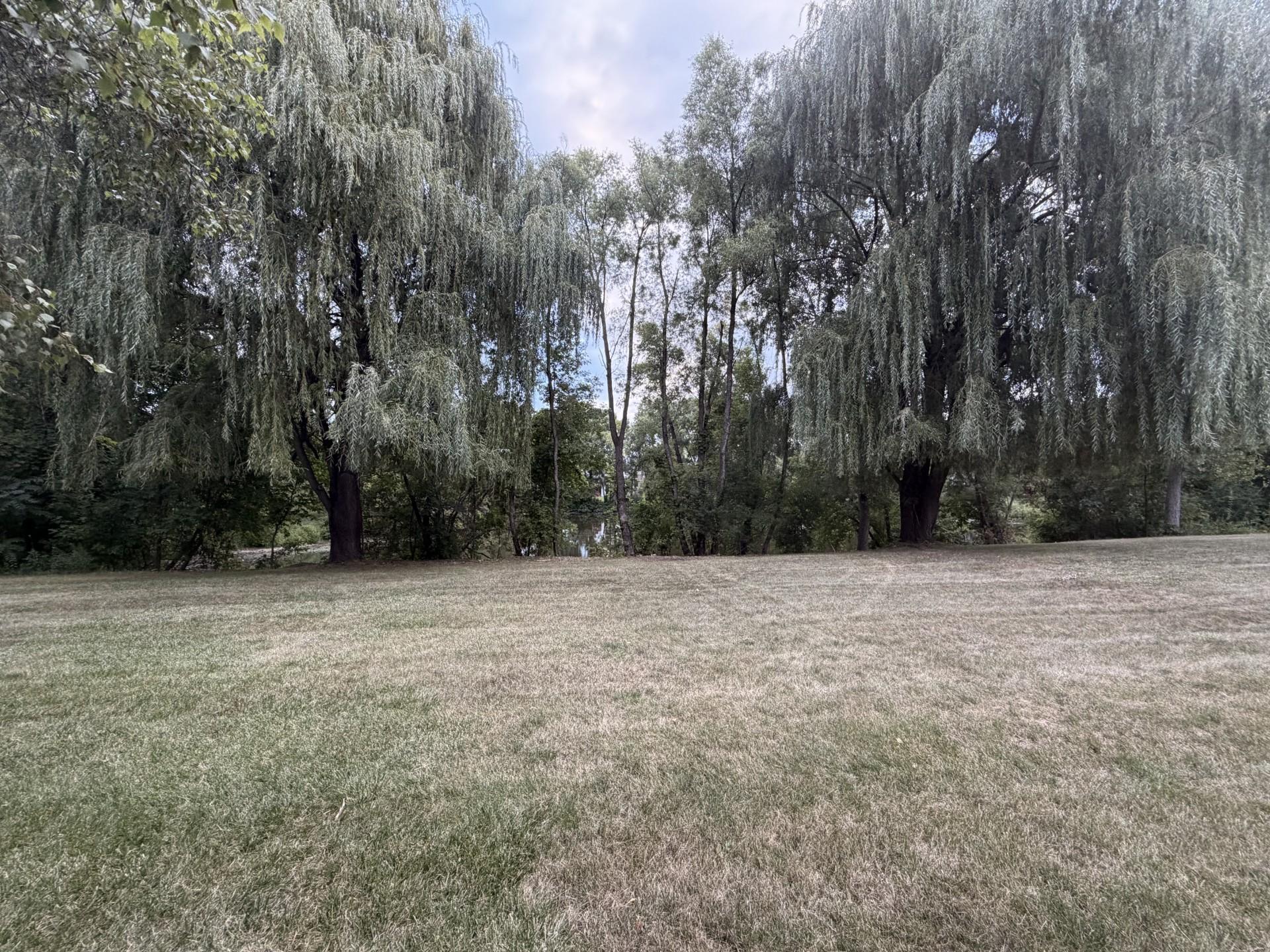 22576 Amy Lane Property Photo 59