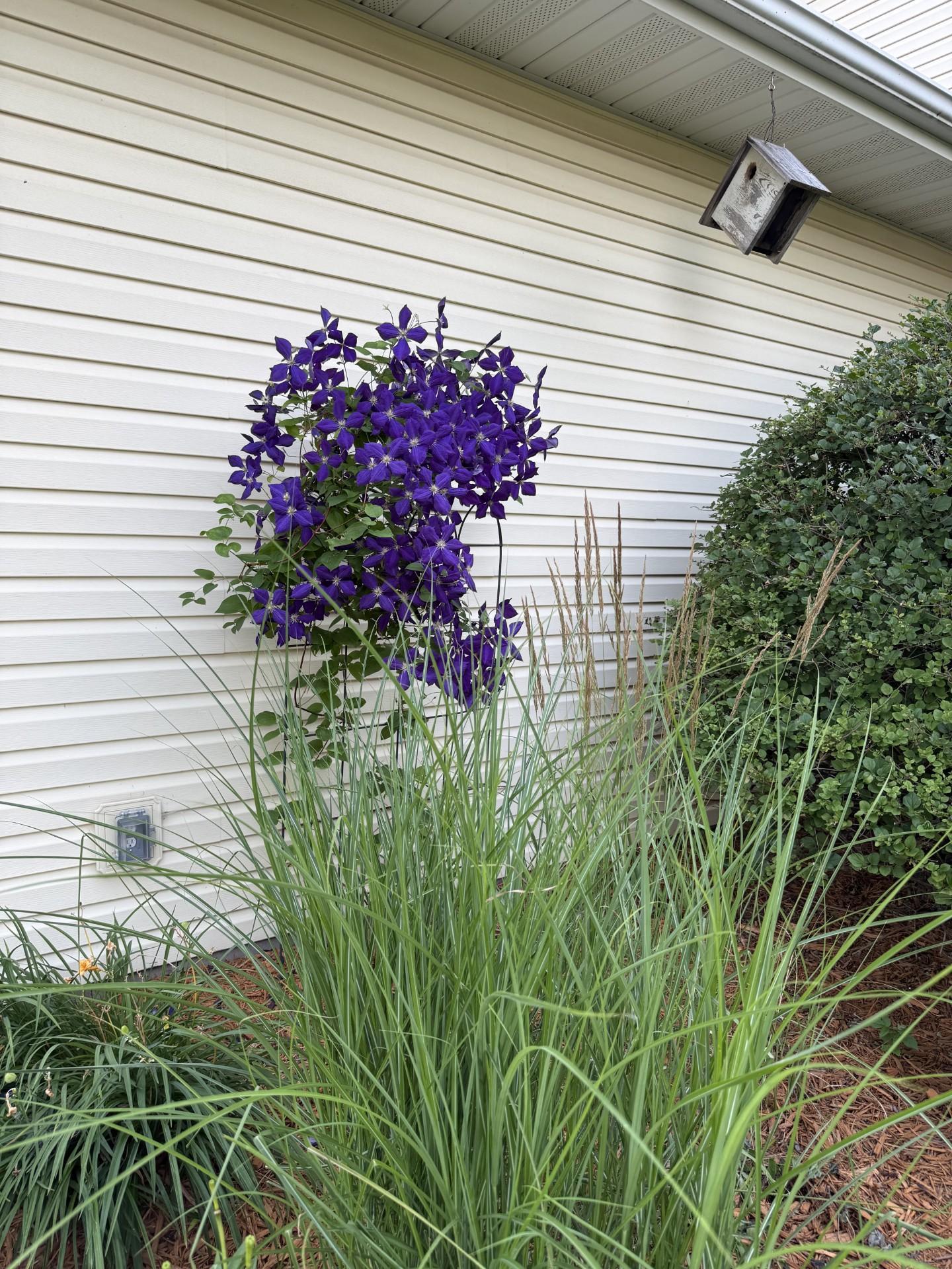 22576 Amy Lane Property Photo 61