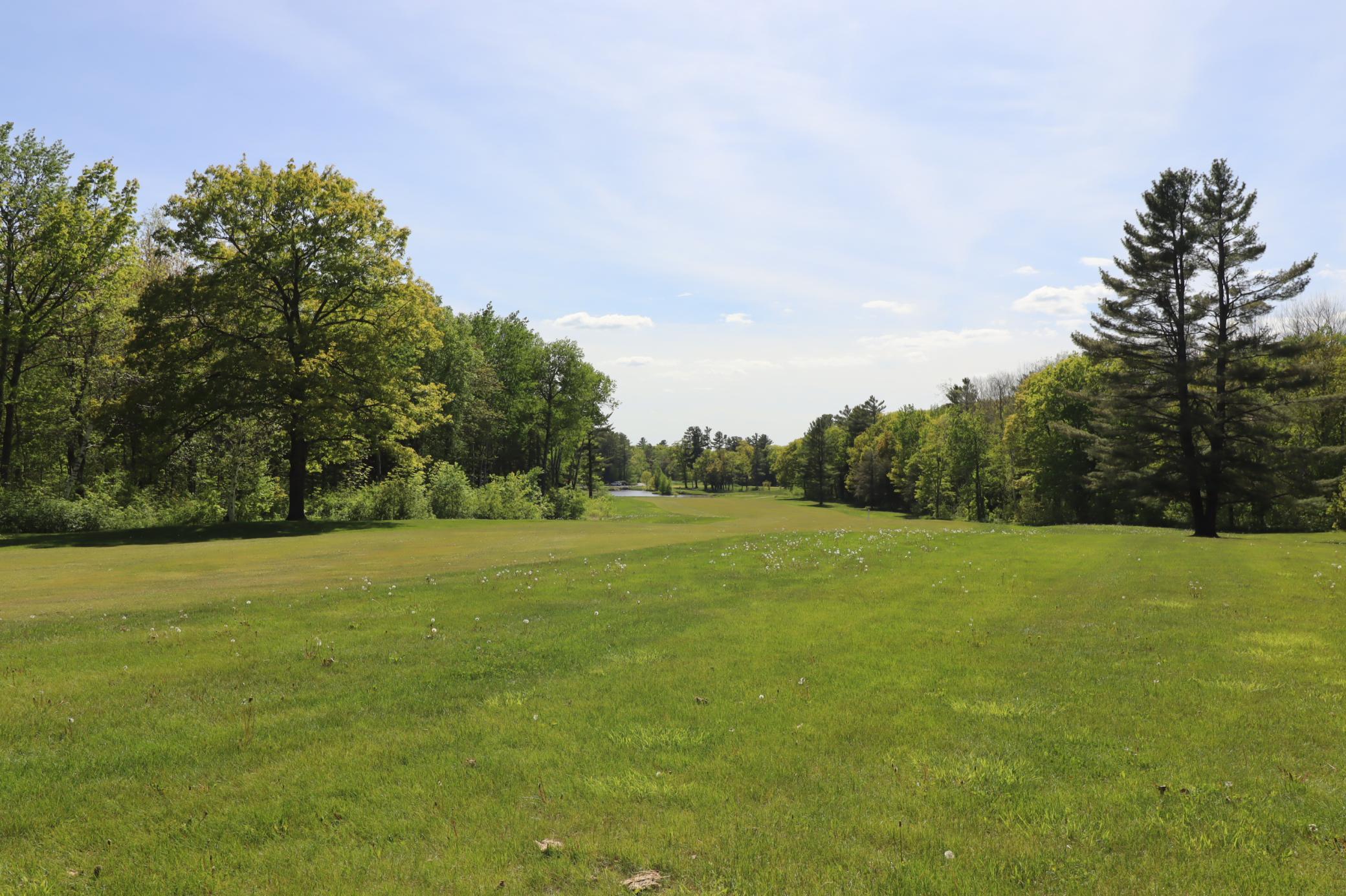 Lot 19 Eagle Run Property Photo 1