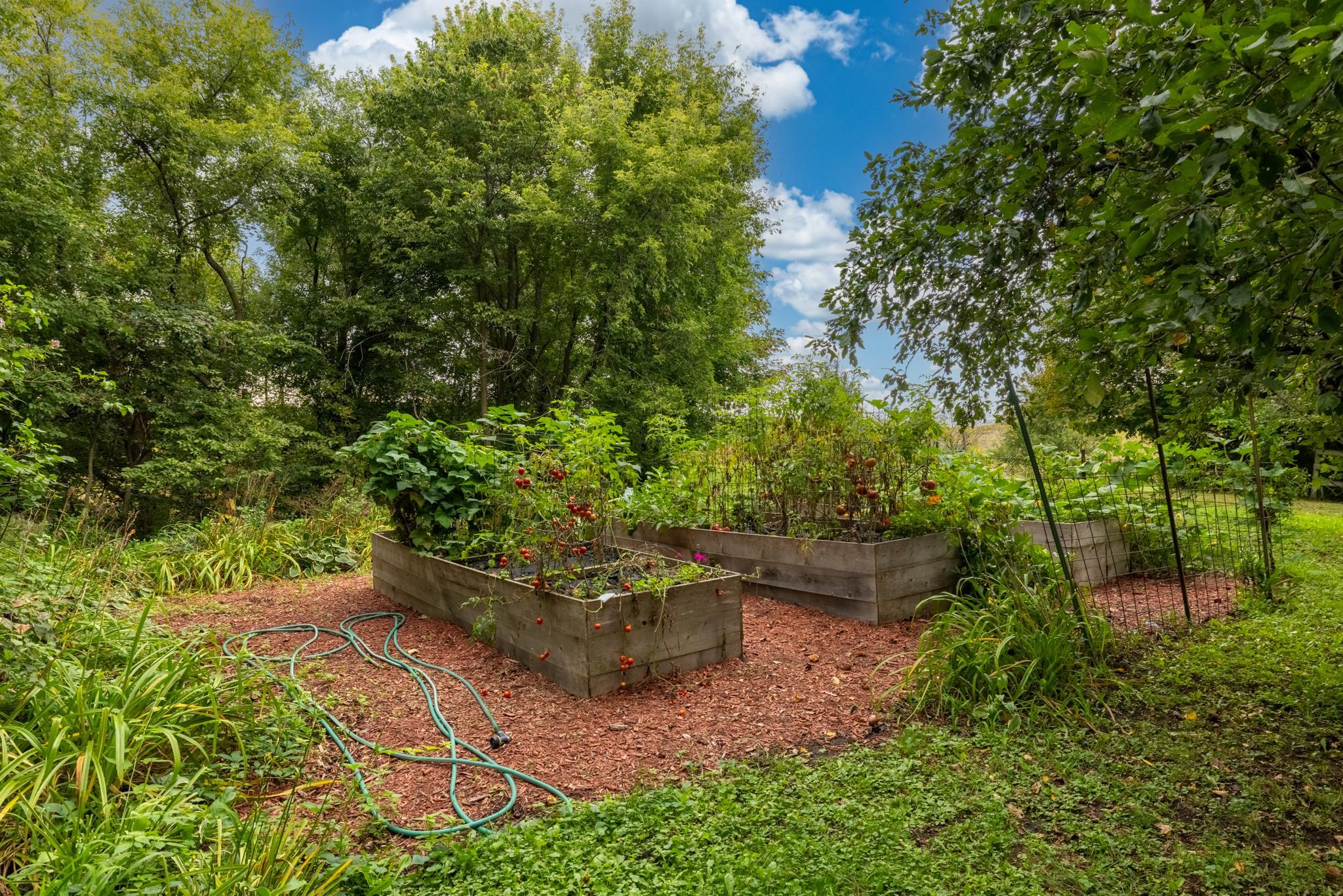 24412 Iona Avenue Property Photo 52