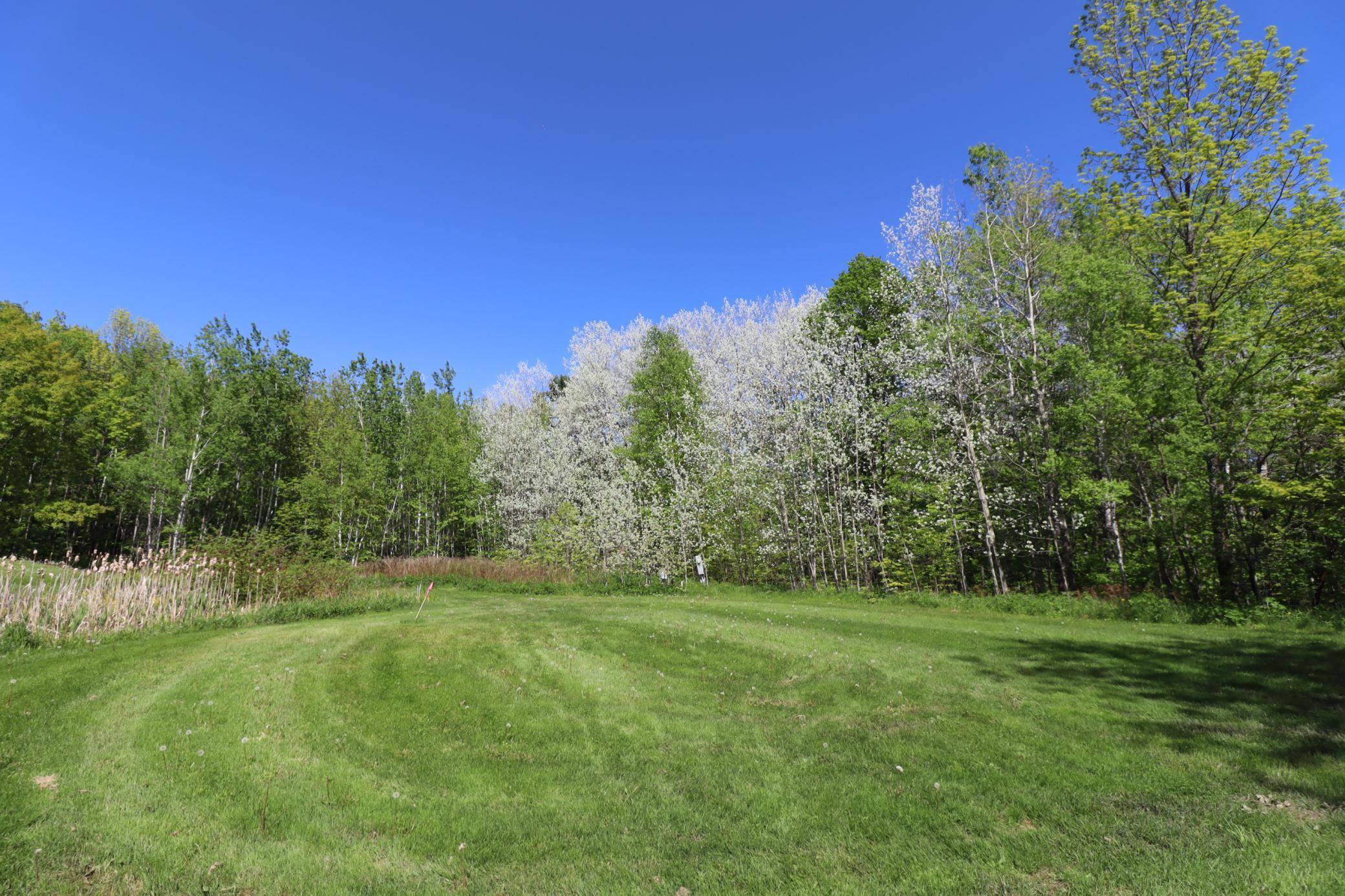 Lot 38 Eagle Run Property Photo 1