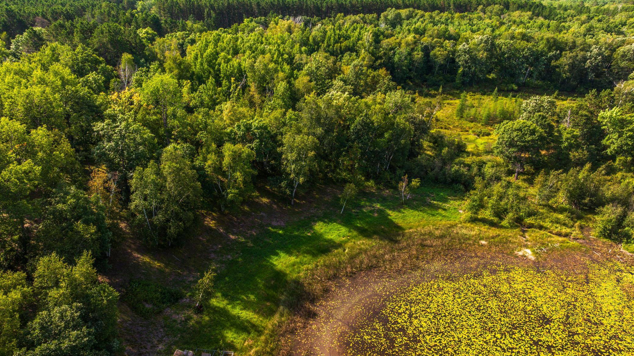 Tbd Forest Pines Drive Property Photo 16