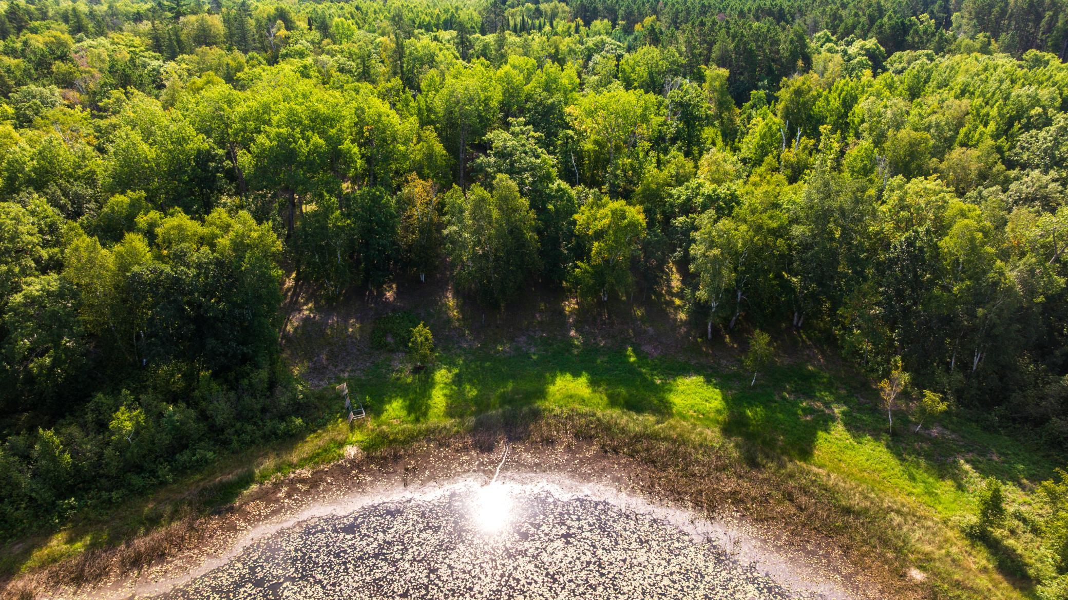 Tbd Forest Pines Drive Property Photo 17