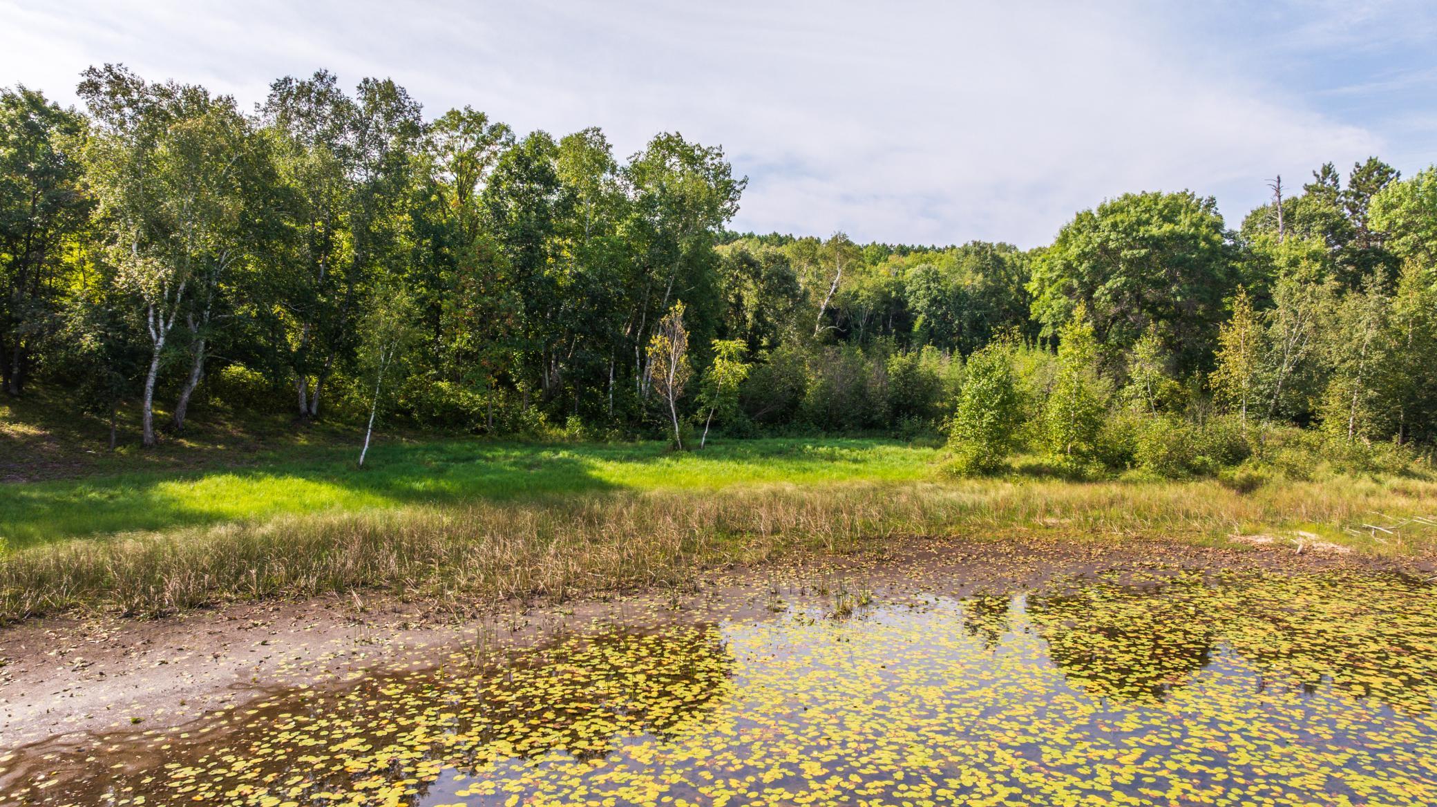 Tbd Forest Pines Drive Property Photo 19