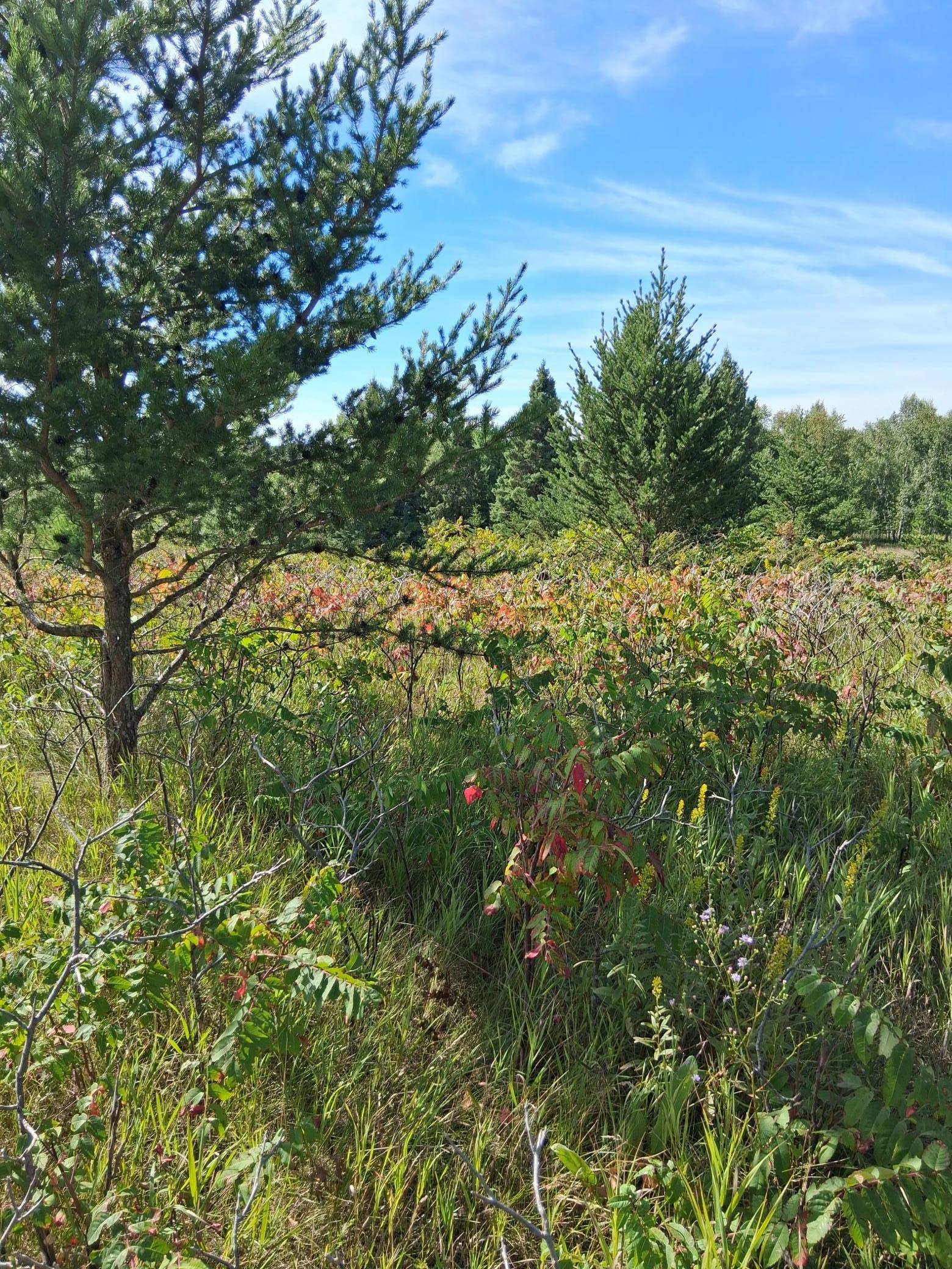 TBD Overland Drive Property Photo 1