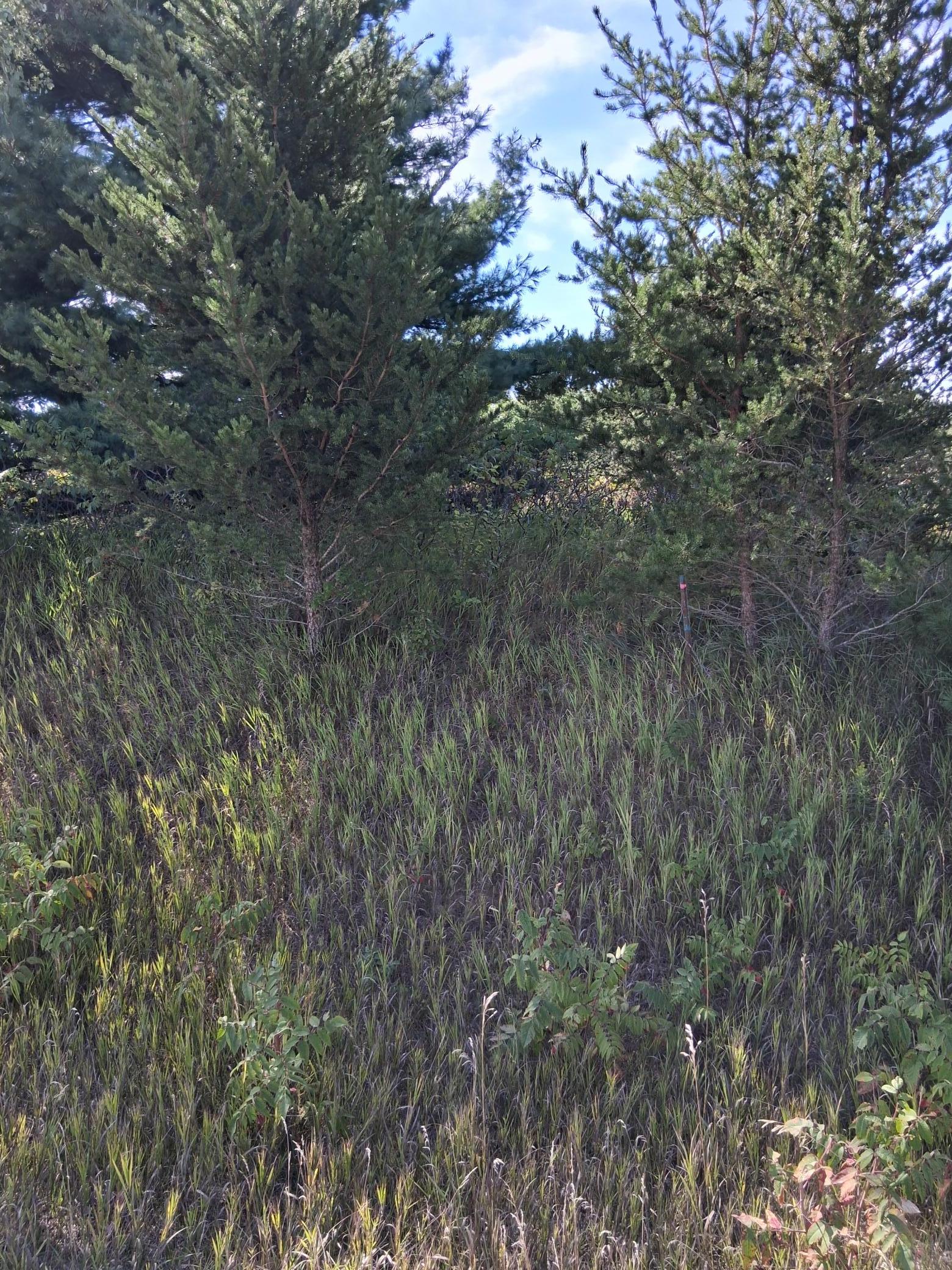Tbd Overland Drive Property Photo 4