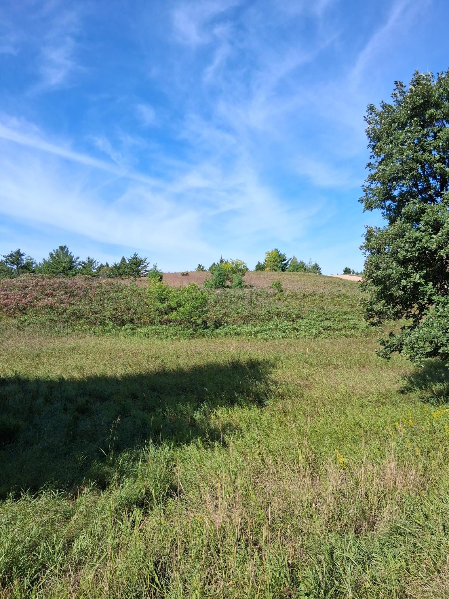 Tbd Overland Drive Property Photo 6