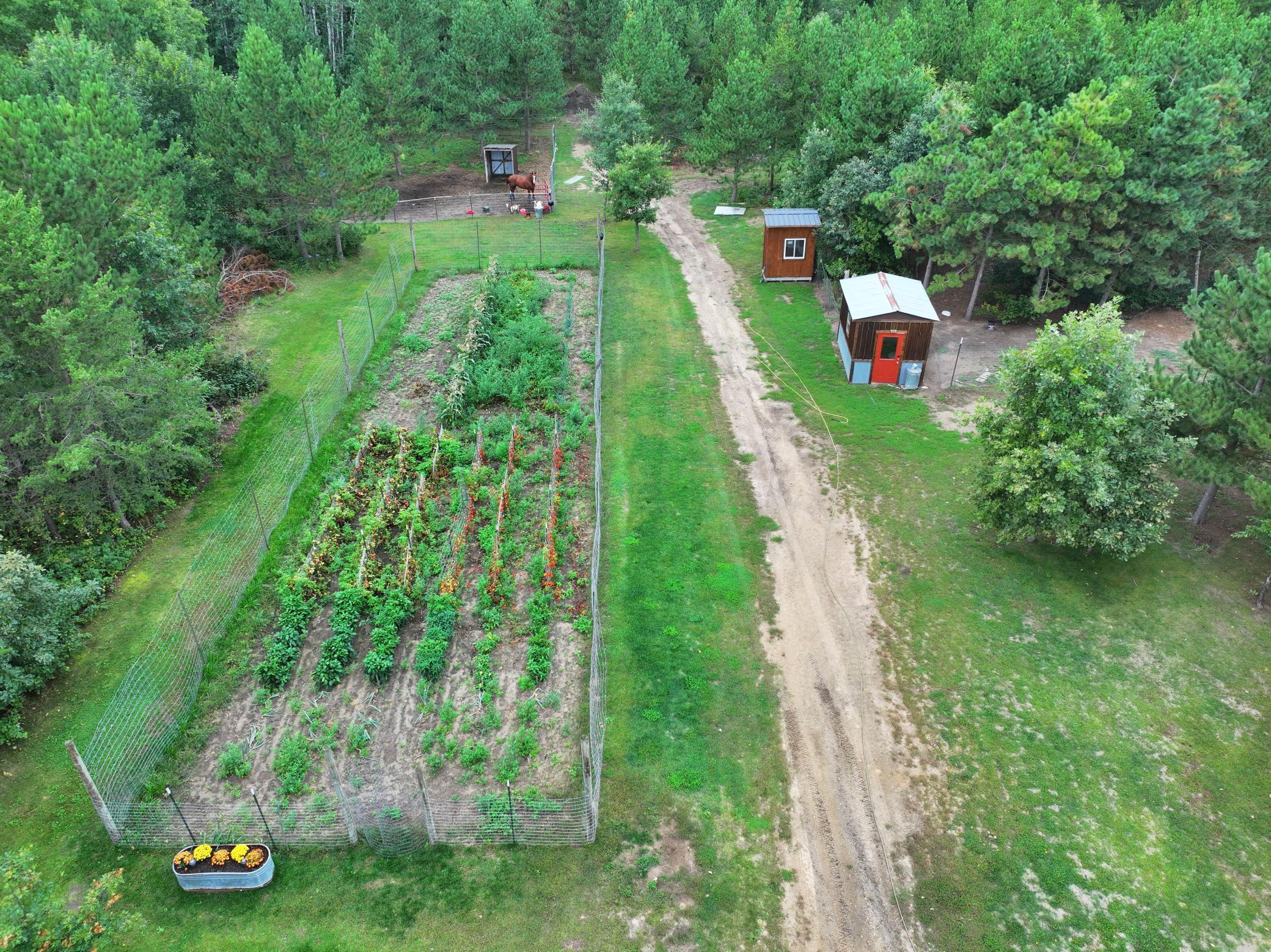11208 State Highway 87 Property Photo 9