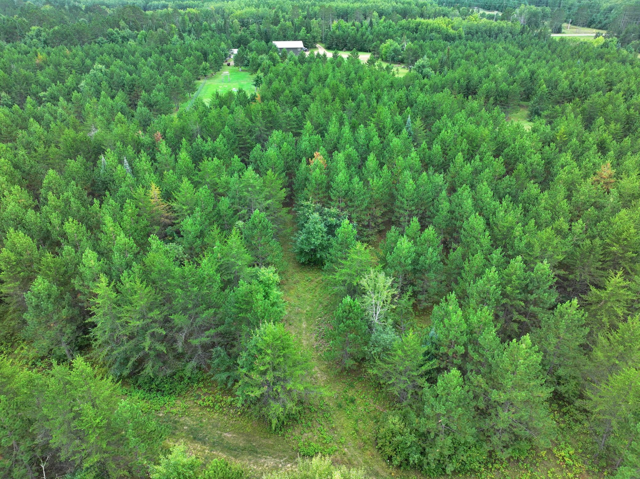 11208 State Highway 87 Property Photo 44