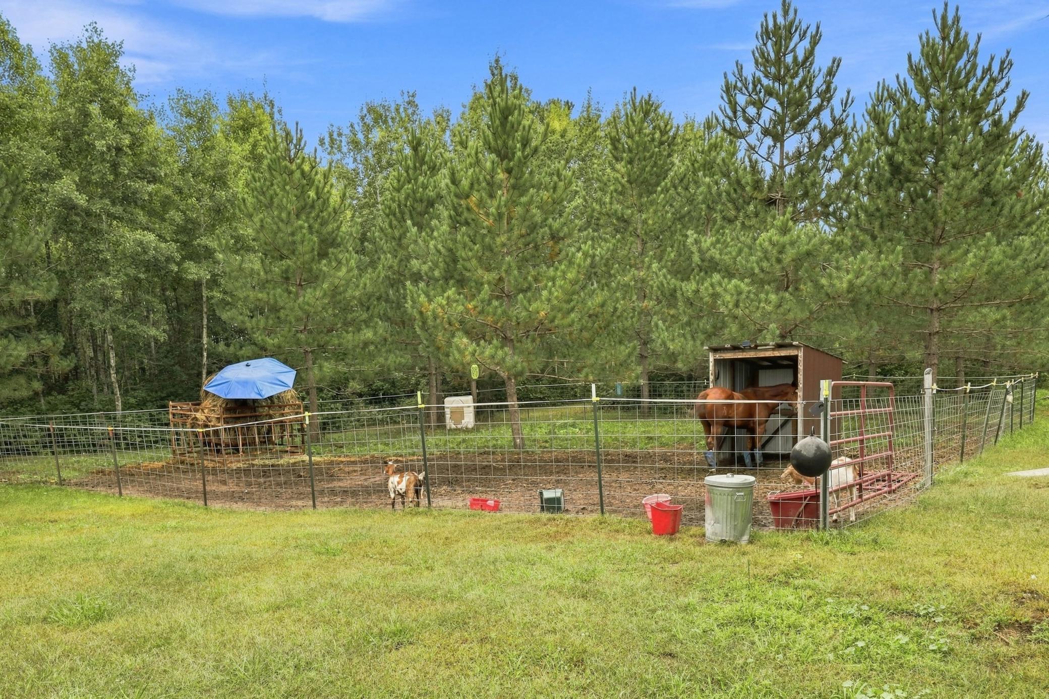 11208 State Highway 87 Property Photo 48