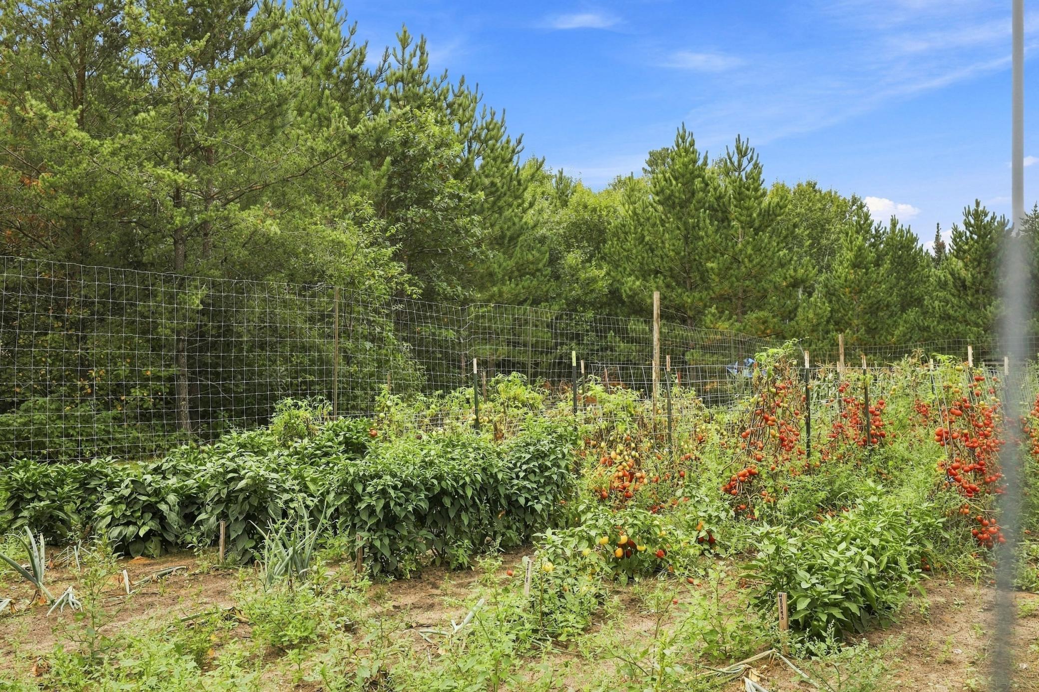 11208 State Highway 87 Property Photo 49