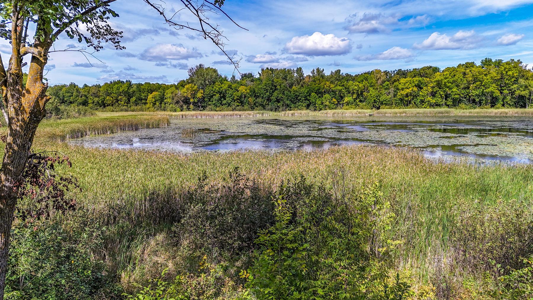 10591 Boot Lake Road Property Photo 7