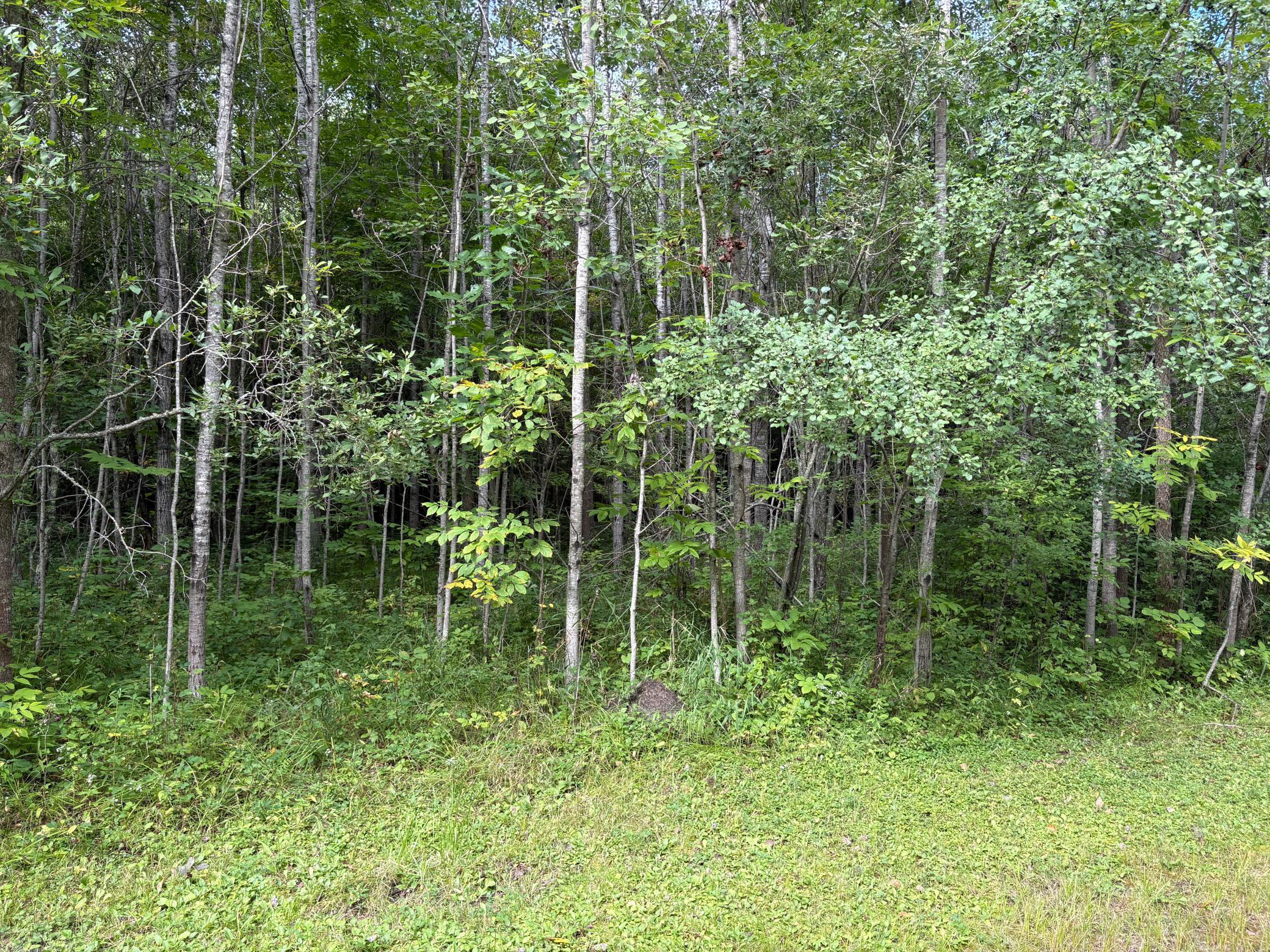 28712 480th Street Property Photo 2