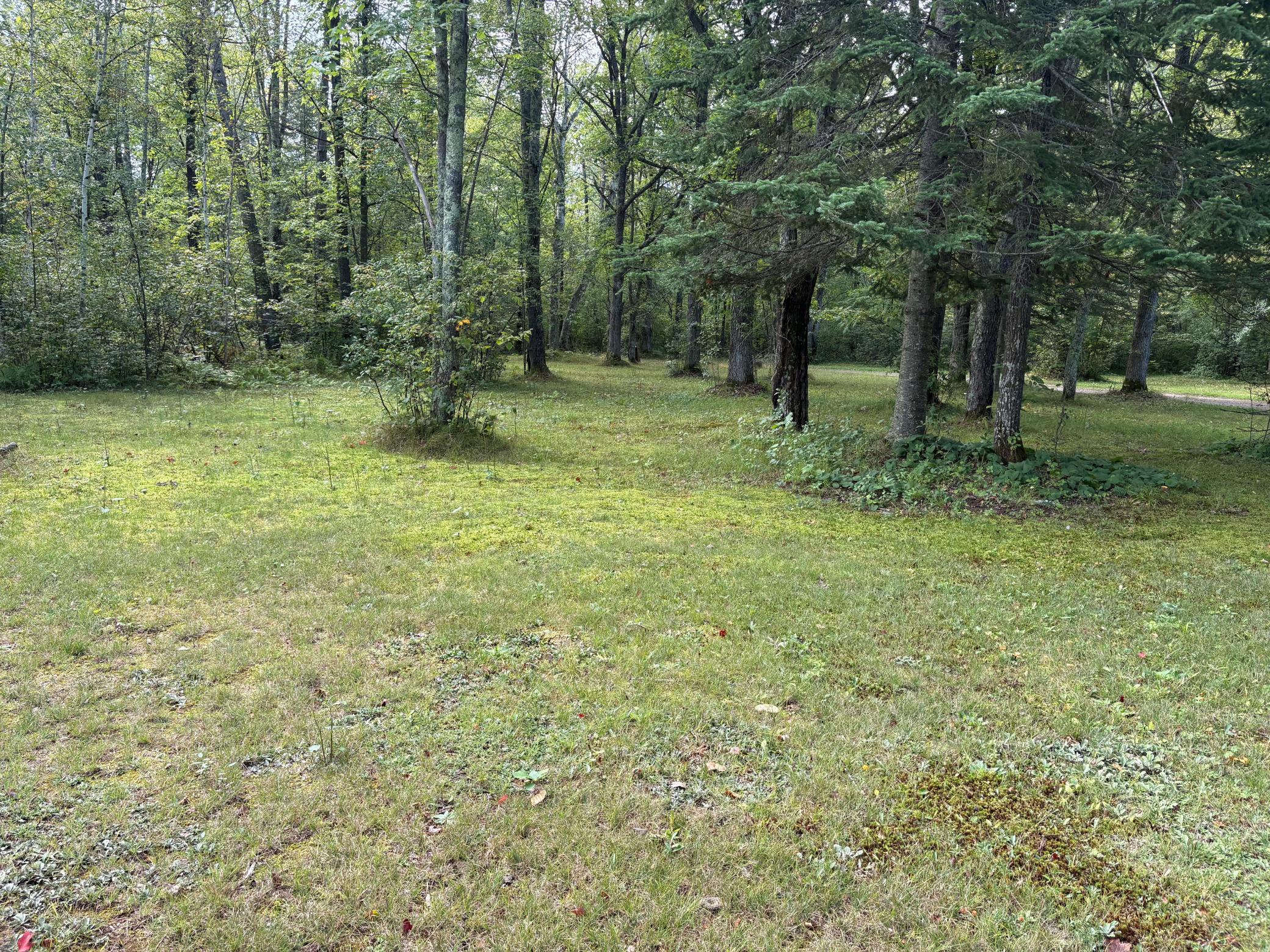28712 480th Street Property Photo 5