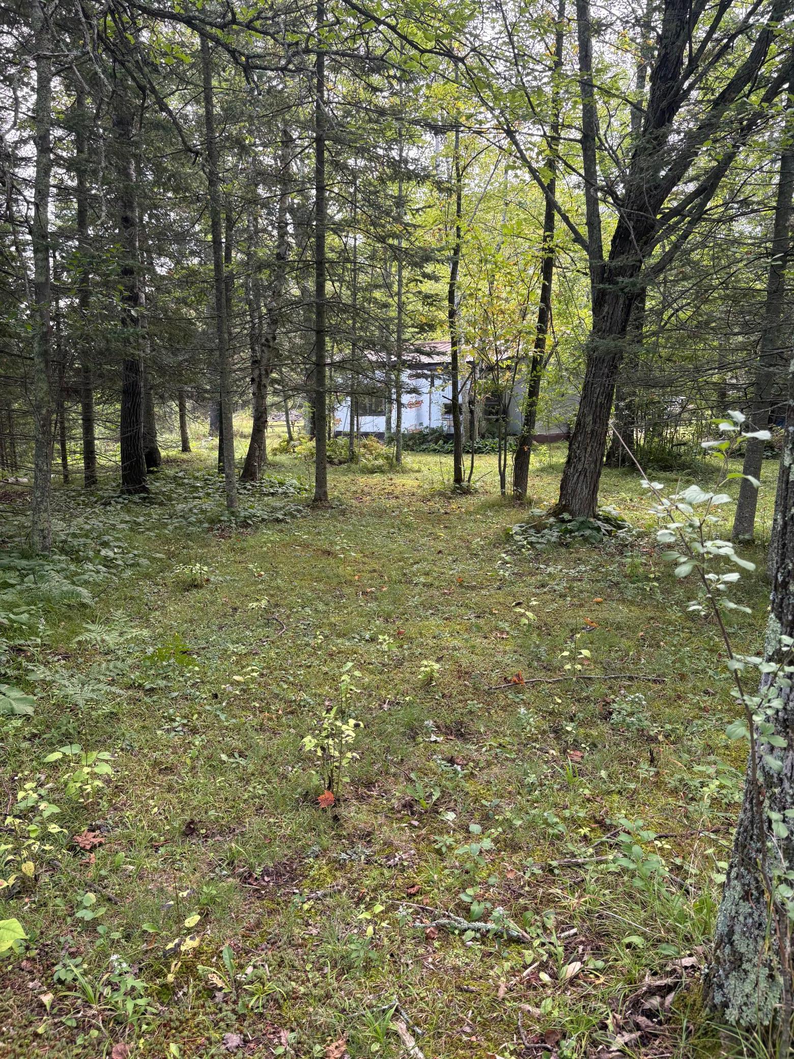 28712 480th Street Property Photo 16