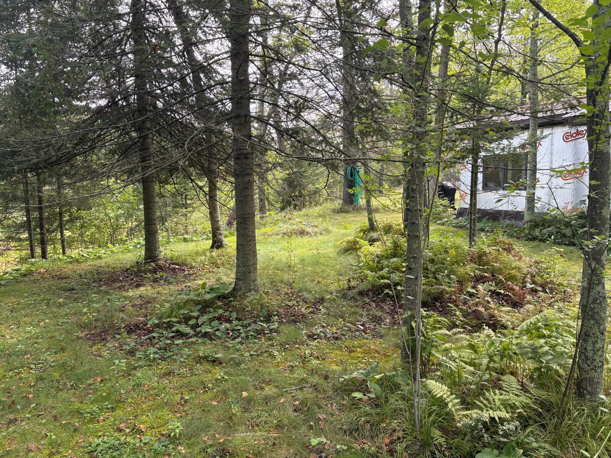 28712 480th Street Property Photo 19