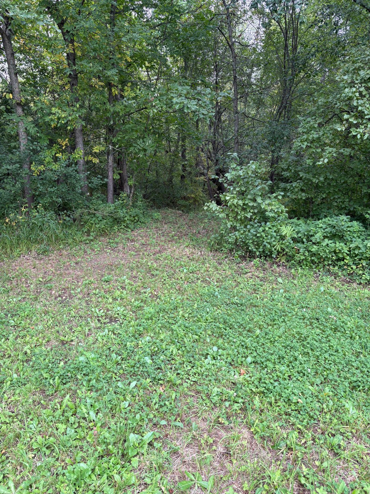 28712 480th Street Property Photo 36