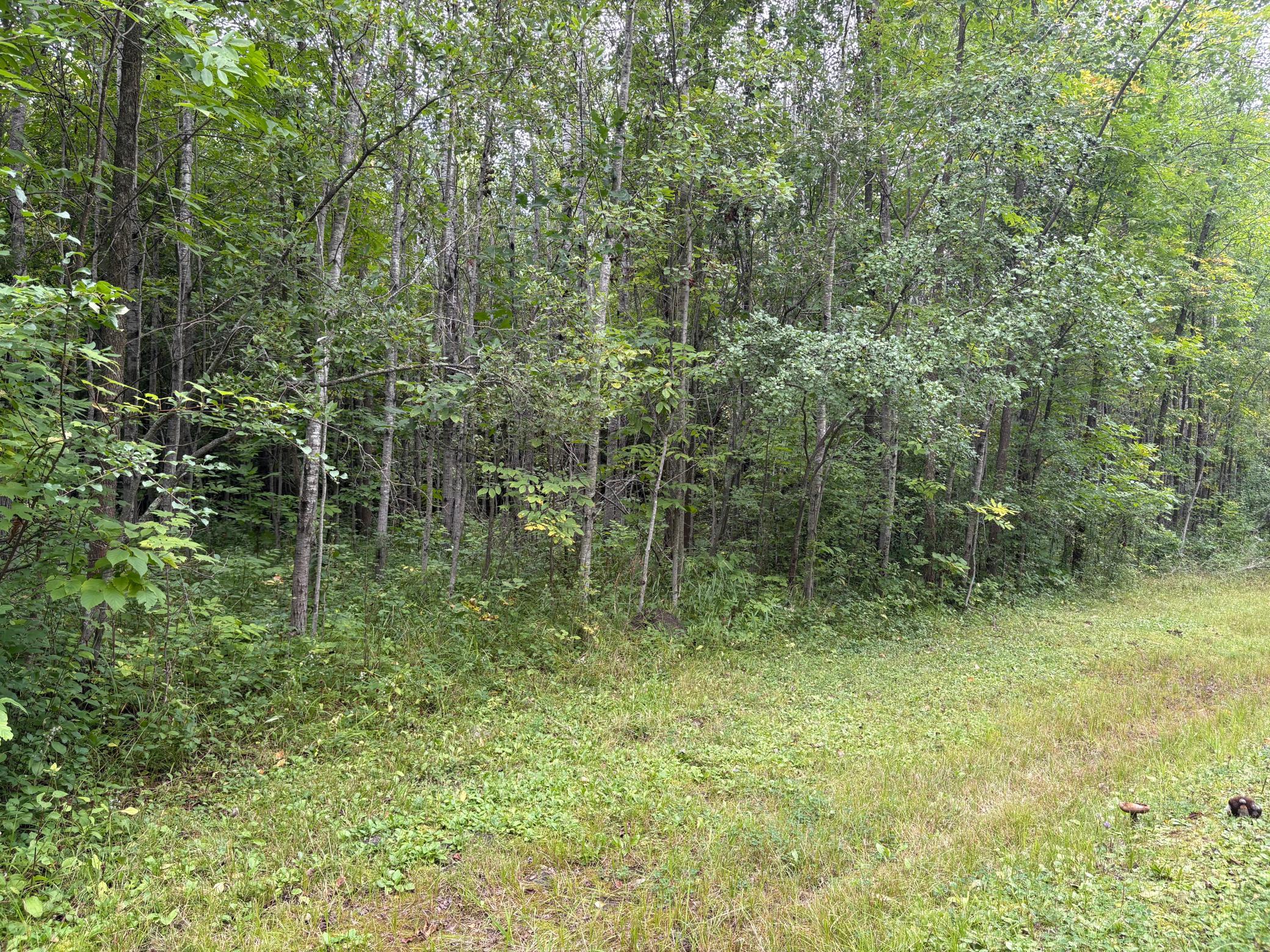 28712 480th Street Property Photo 40