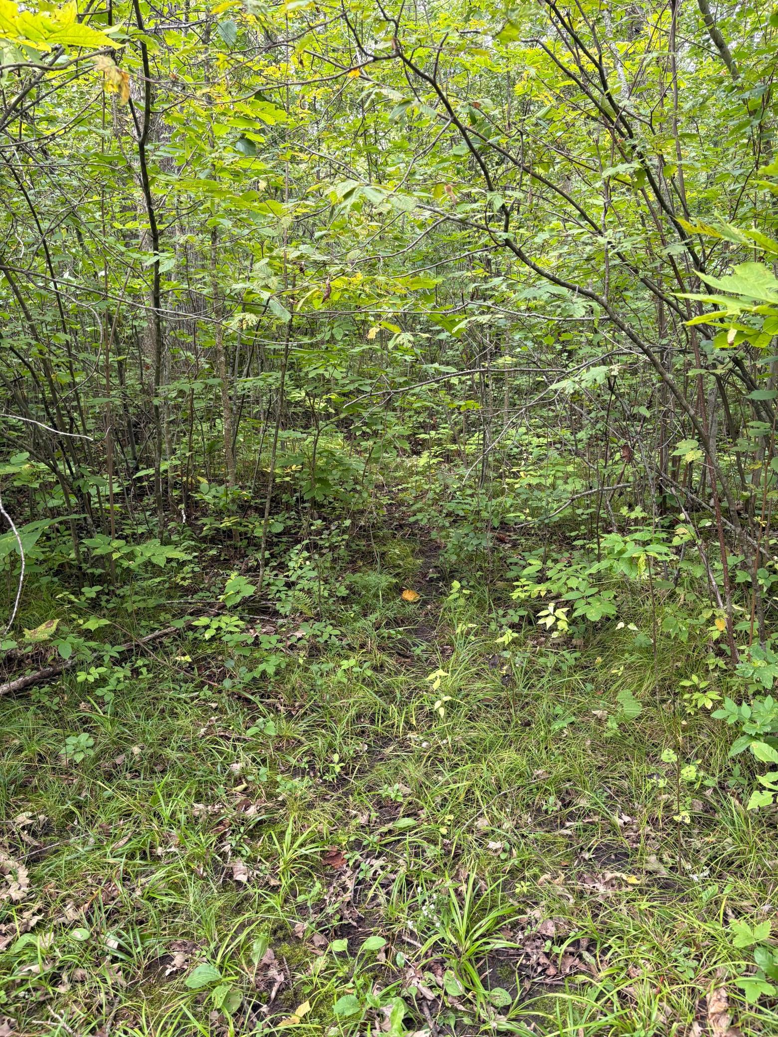 28712 480th Street Property Photo 41