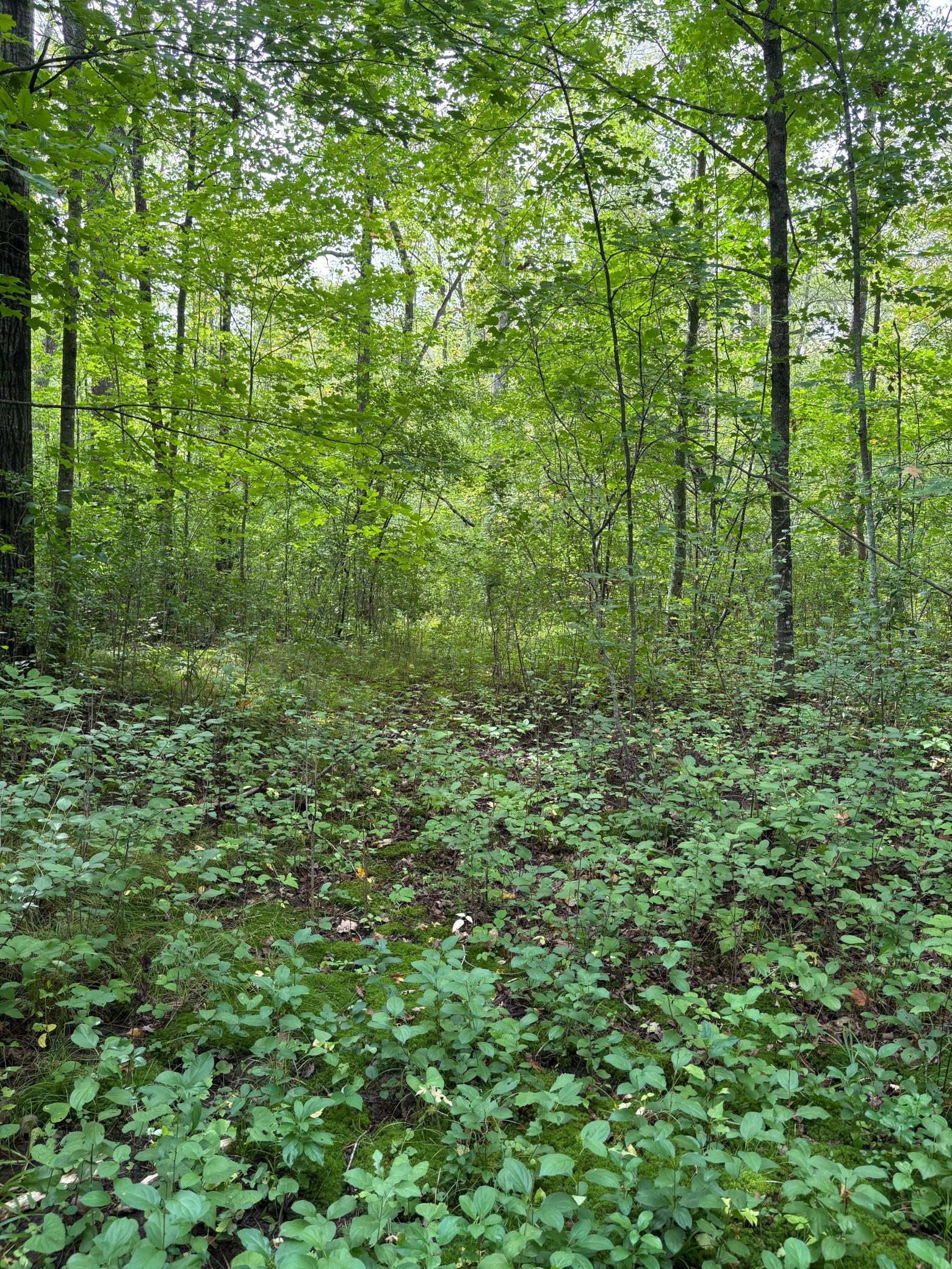 28712 480th Street Property Photo 50