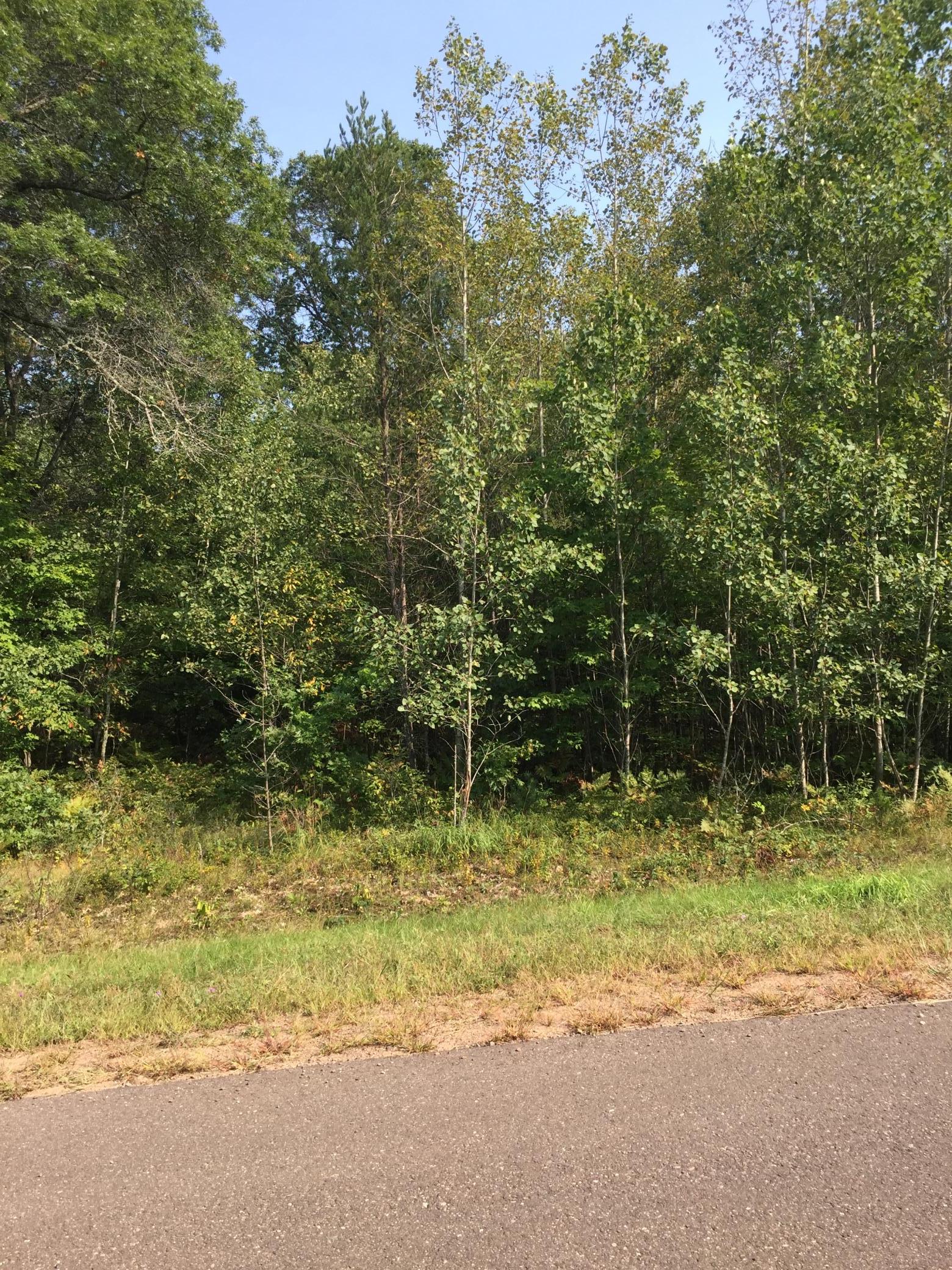 Lot 29 Shady Lane Property Photo 1