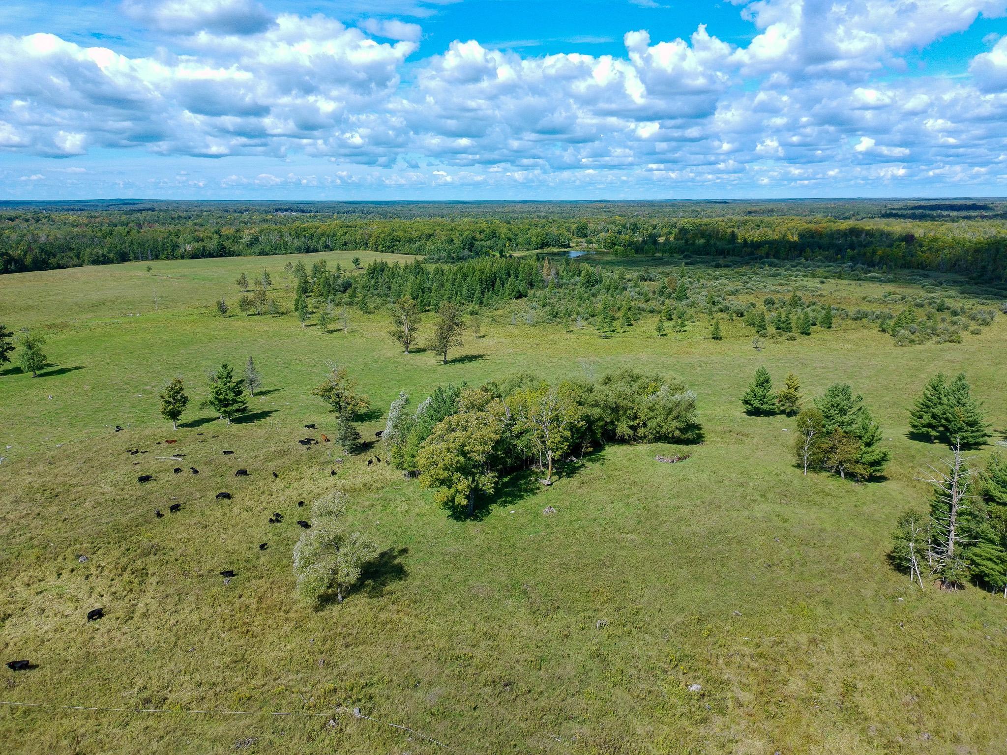 18134 170th Street Property Photo 4