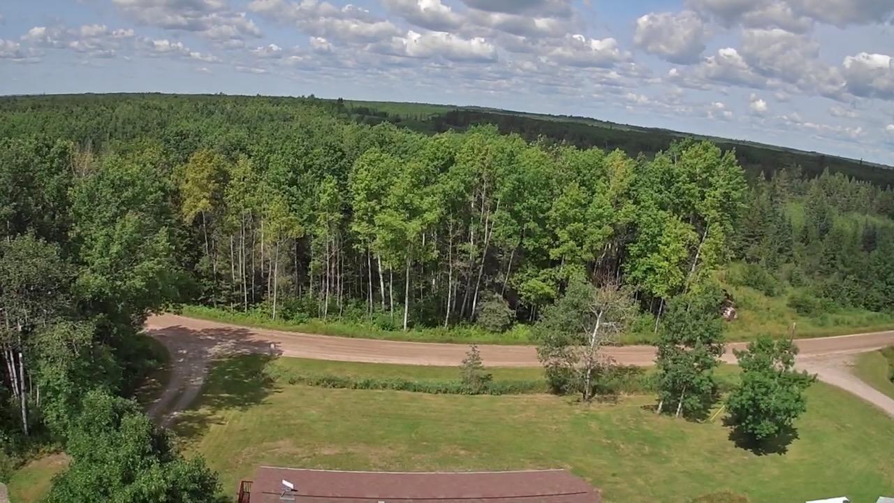 12503 Sethers Road Property Photo 35