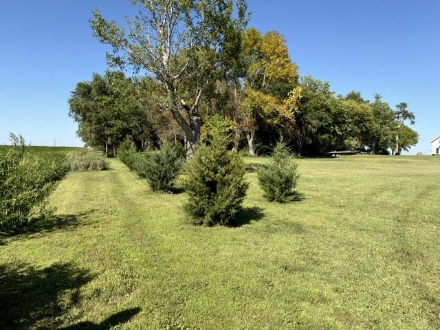 54299 910 Street Property Photo 30