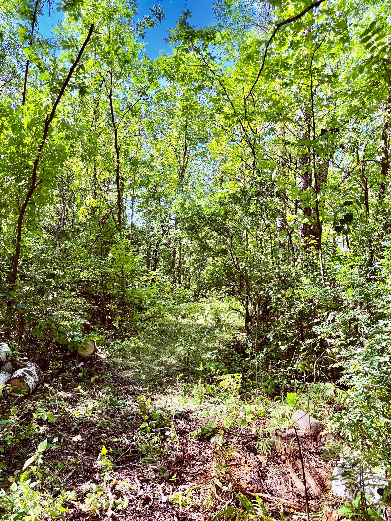 Tbd State Highway 11 Property Photo 18