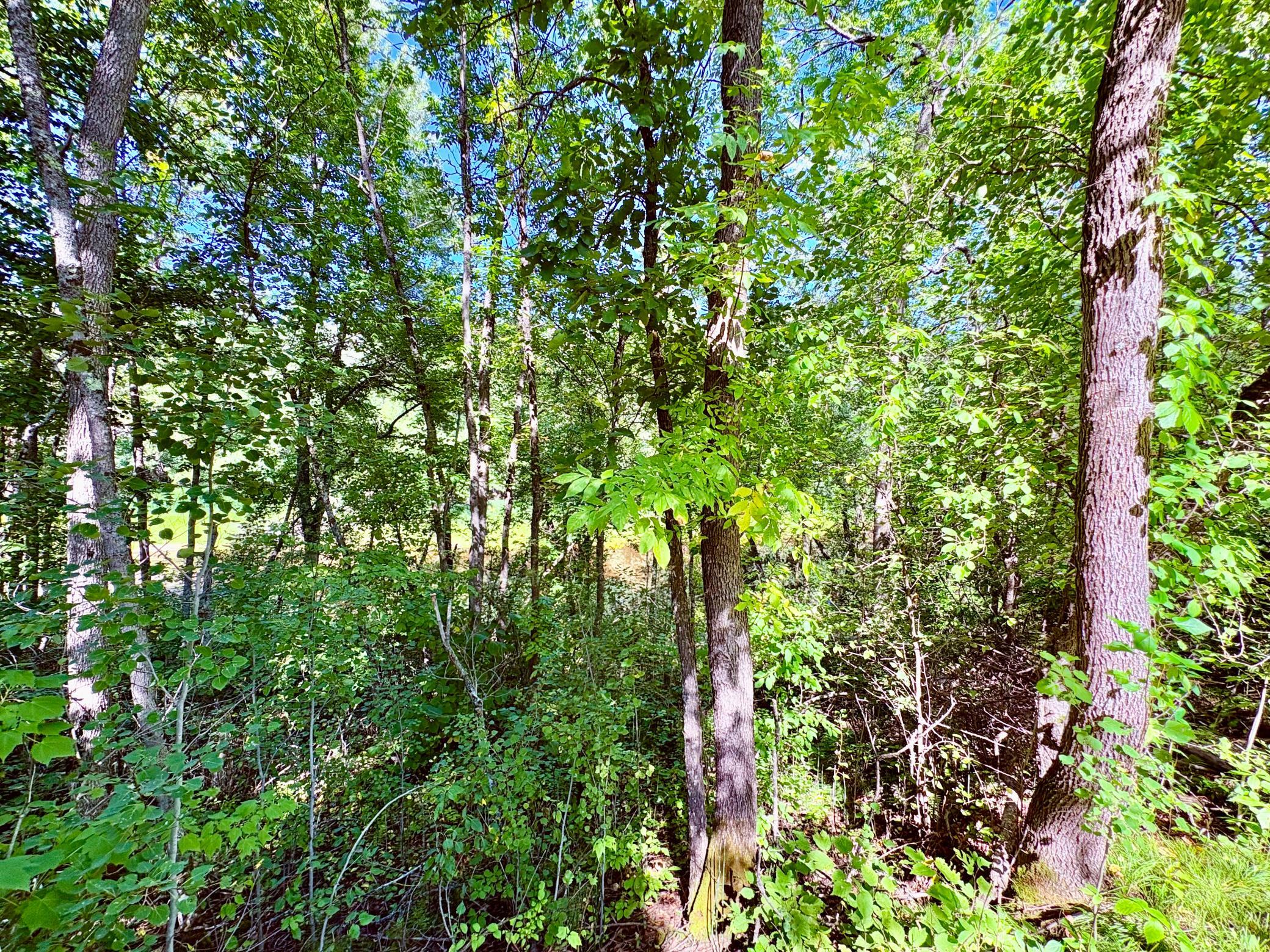 Tbd State Highway 11 Property Photo 24