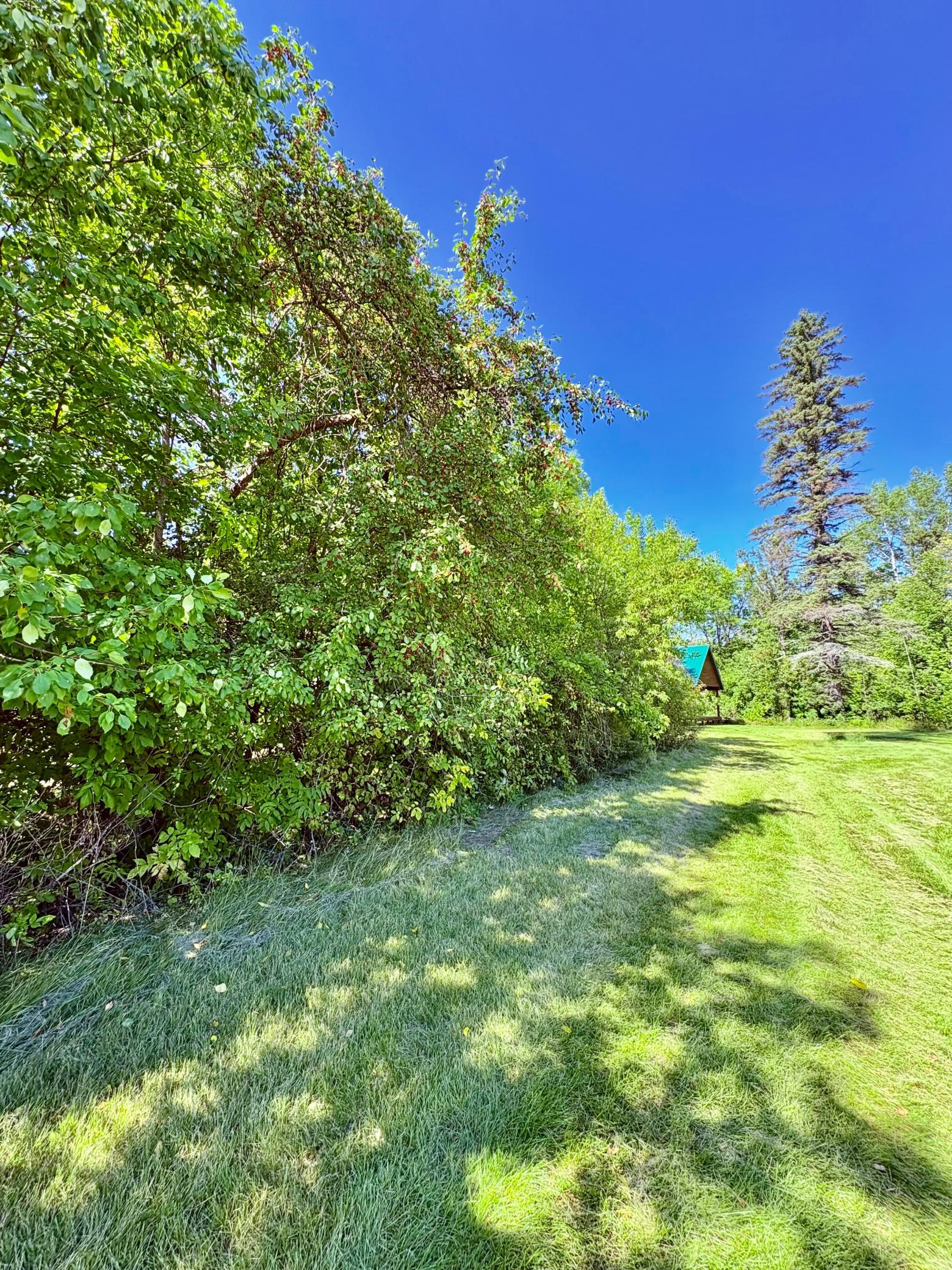 Tbd State Highway 11 Property Photo 25