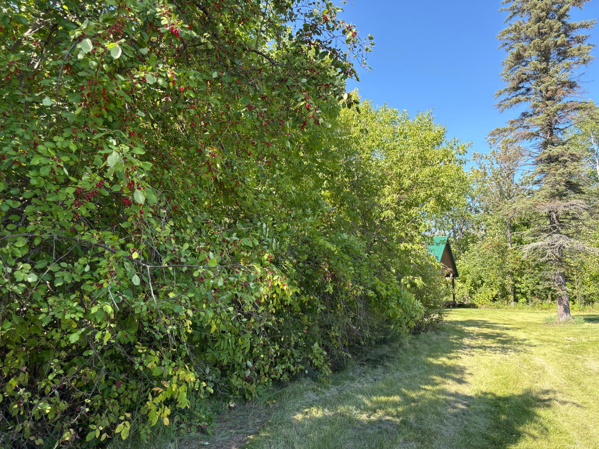 Tbd State Highway 11 Property Photo 32