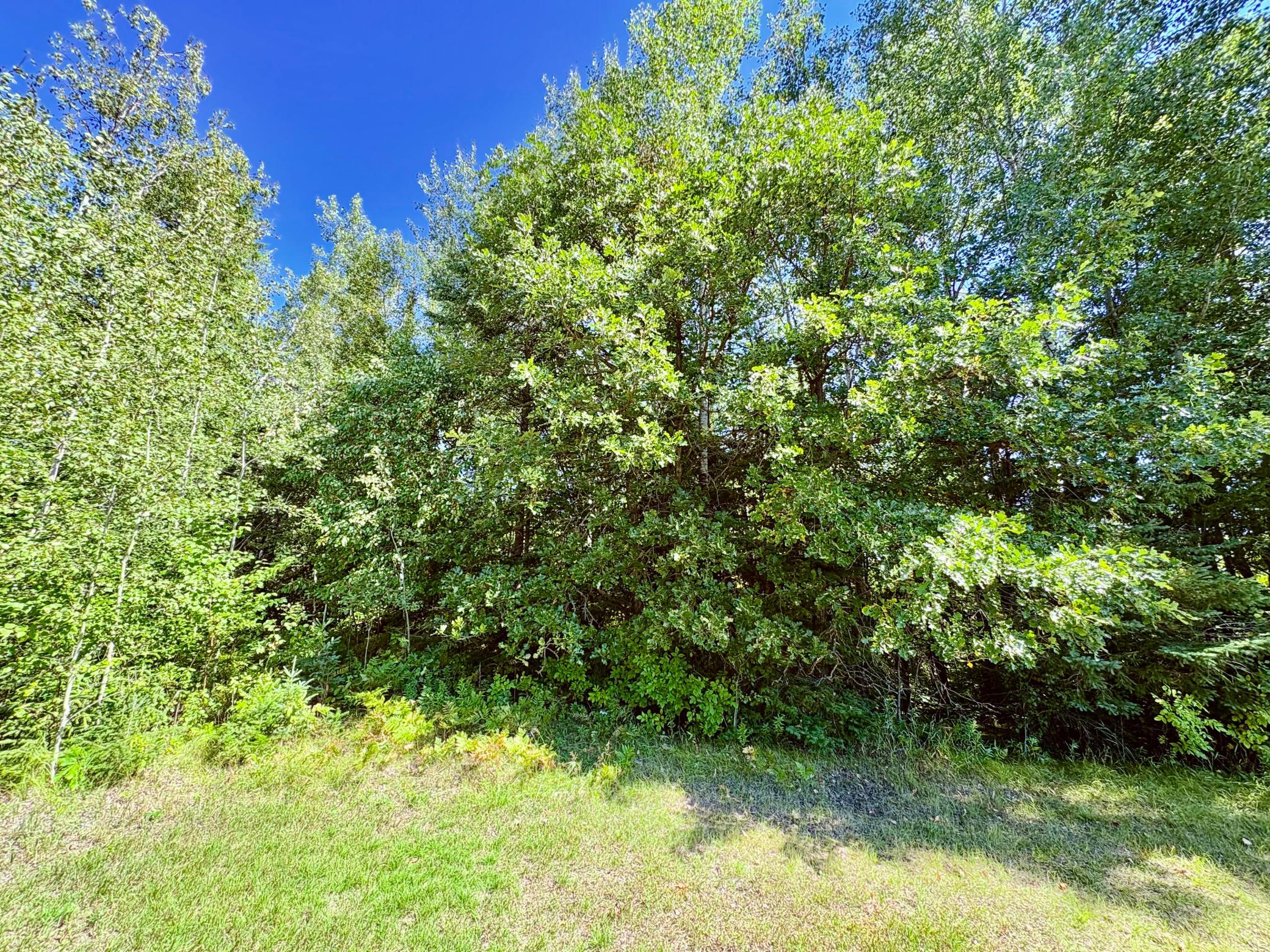 Tbd State Highway 11 Property Photo 37