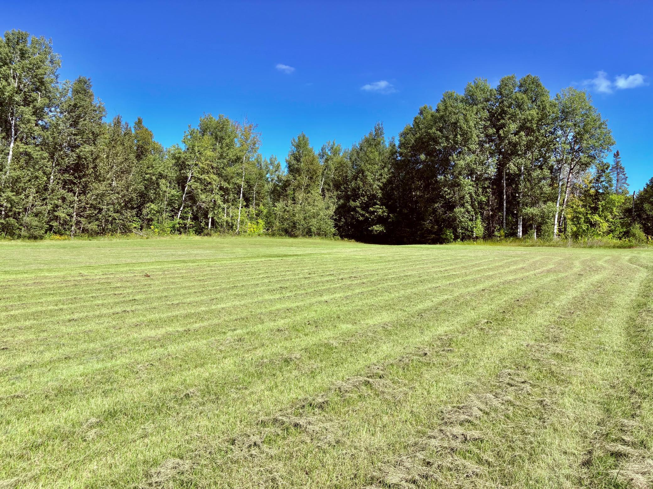 Tbd State Highway 11 Property Photo 40