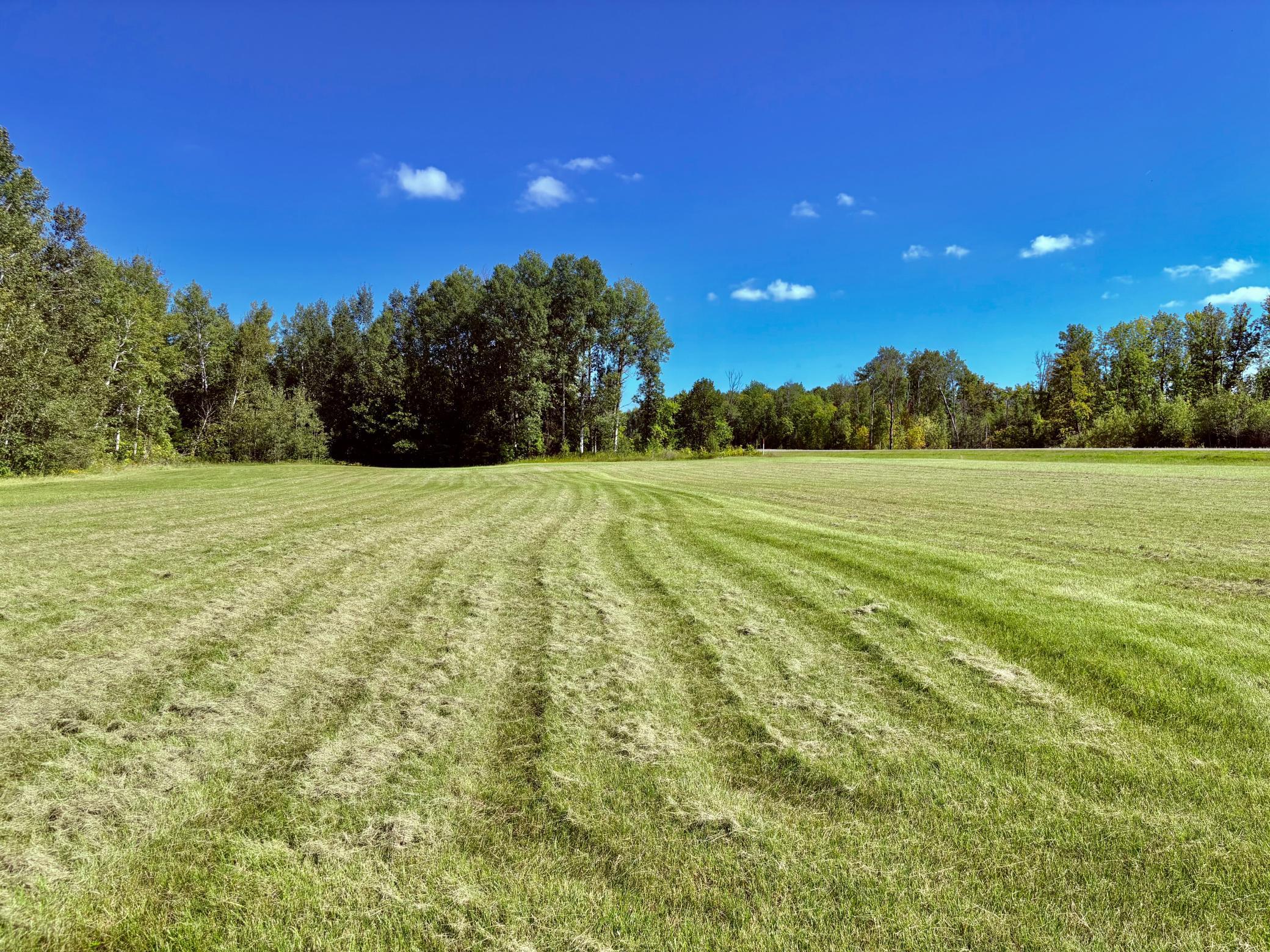 Tbd State Highway 11 Property Photo 41