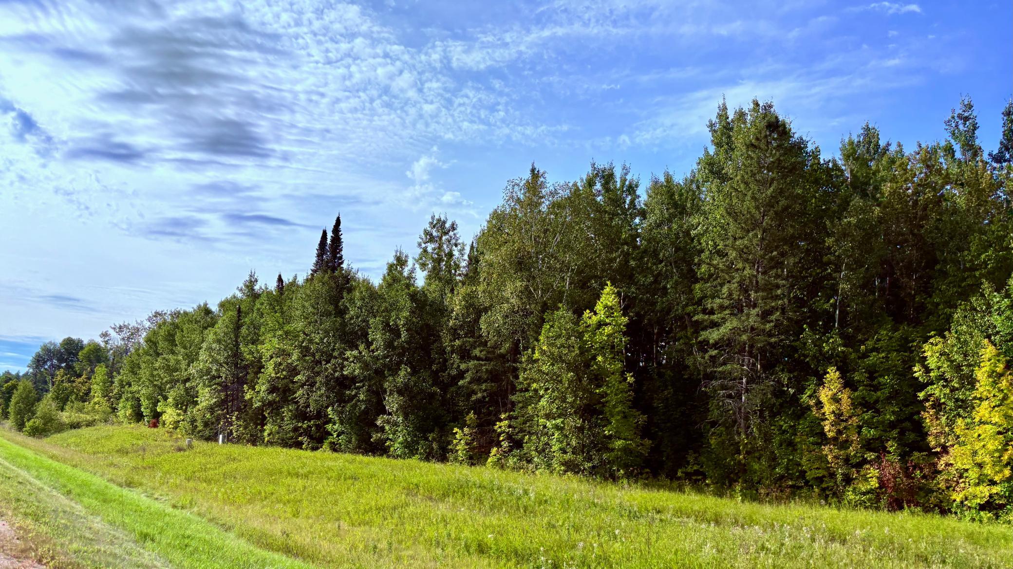 Tbd State Highway 11 Property Photo 43
