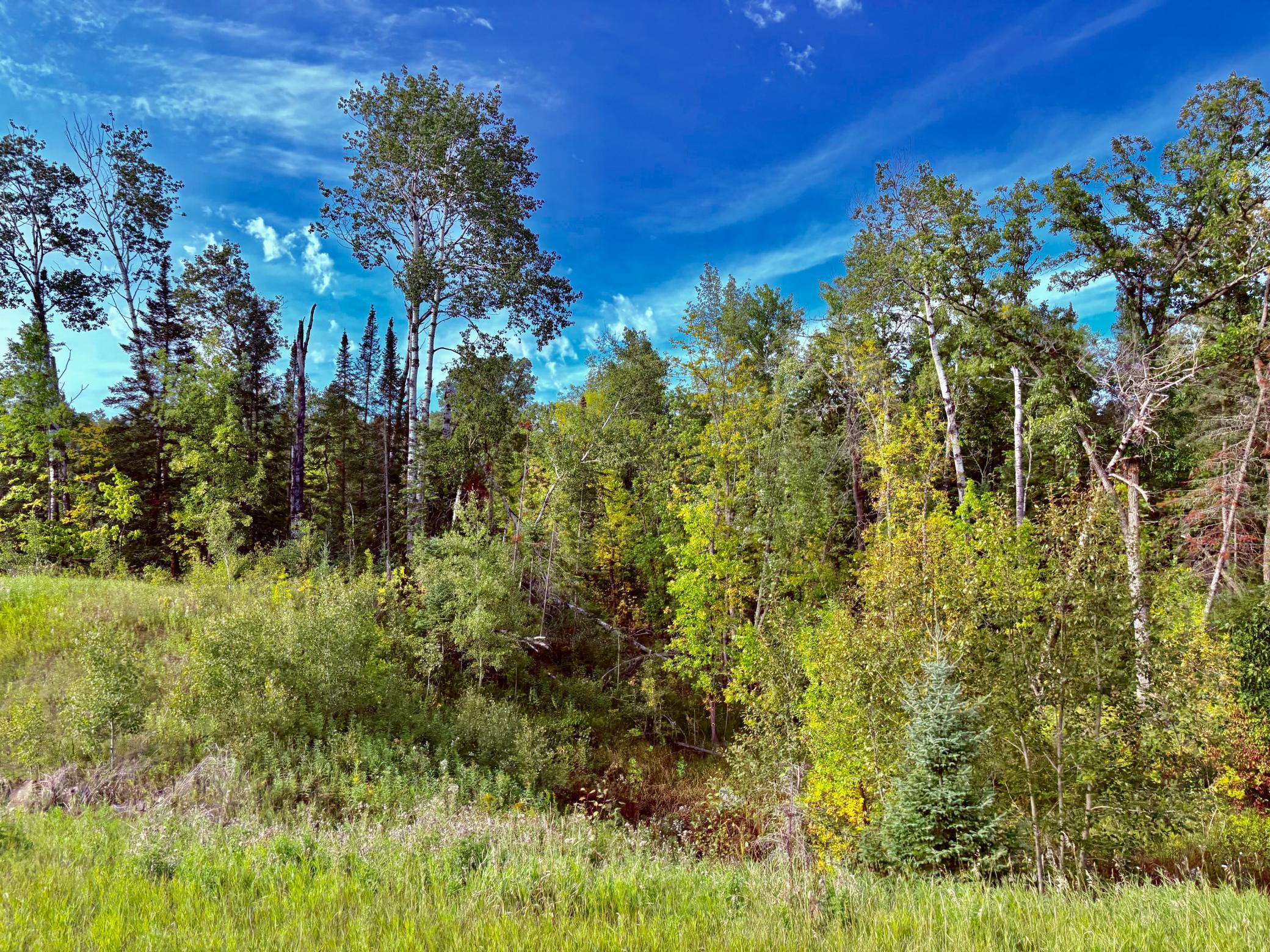 Tbd State Highway 11 Property Photo 45