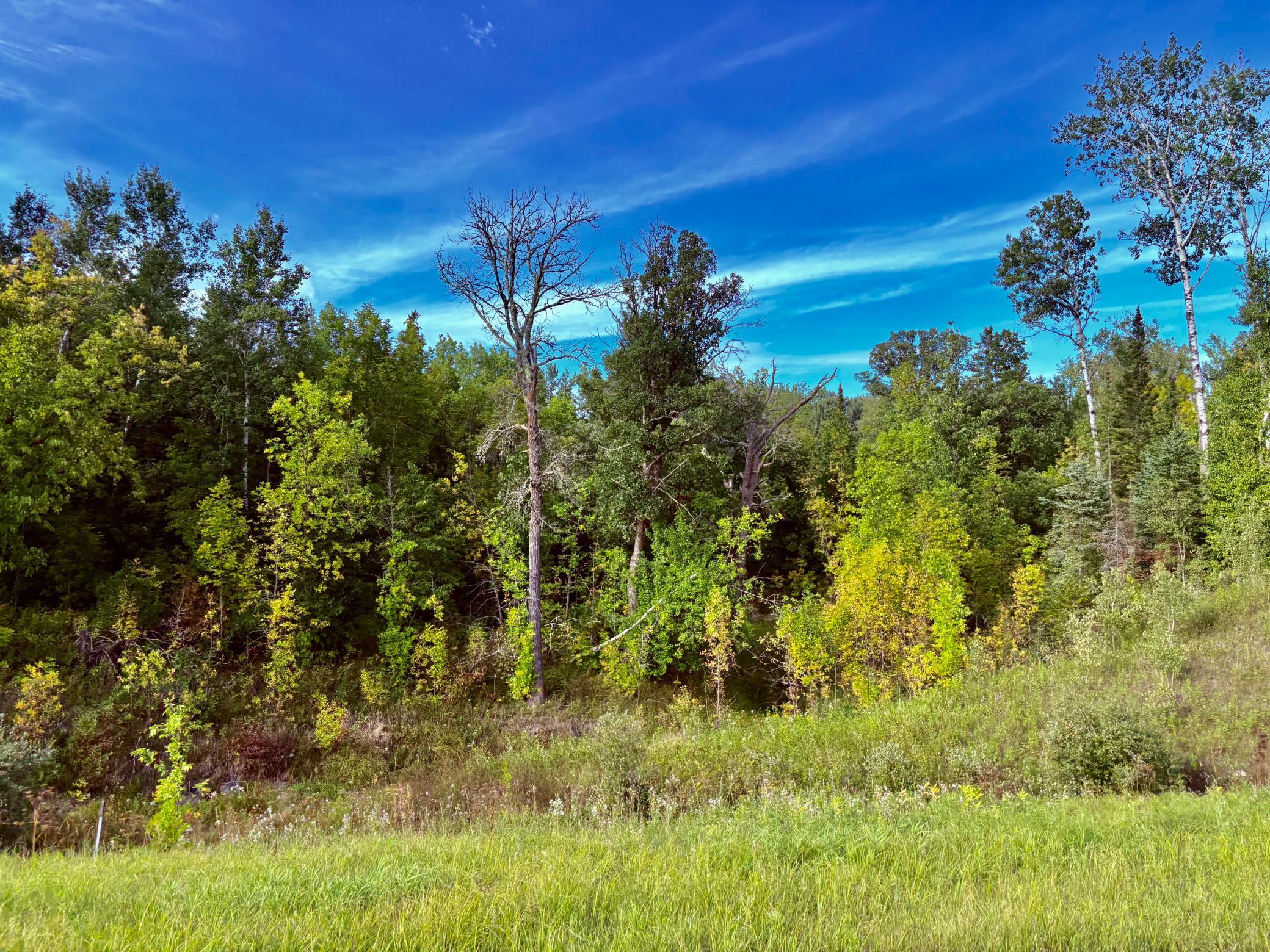 Tbd State Highway 11 Property Photo 47