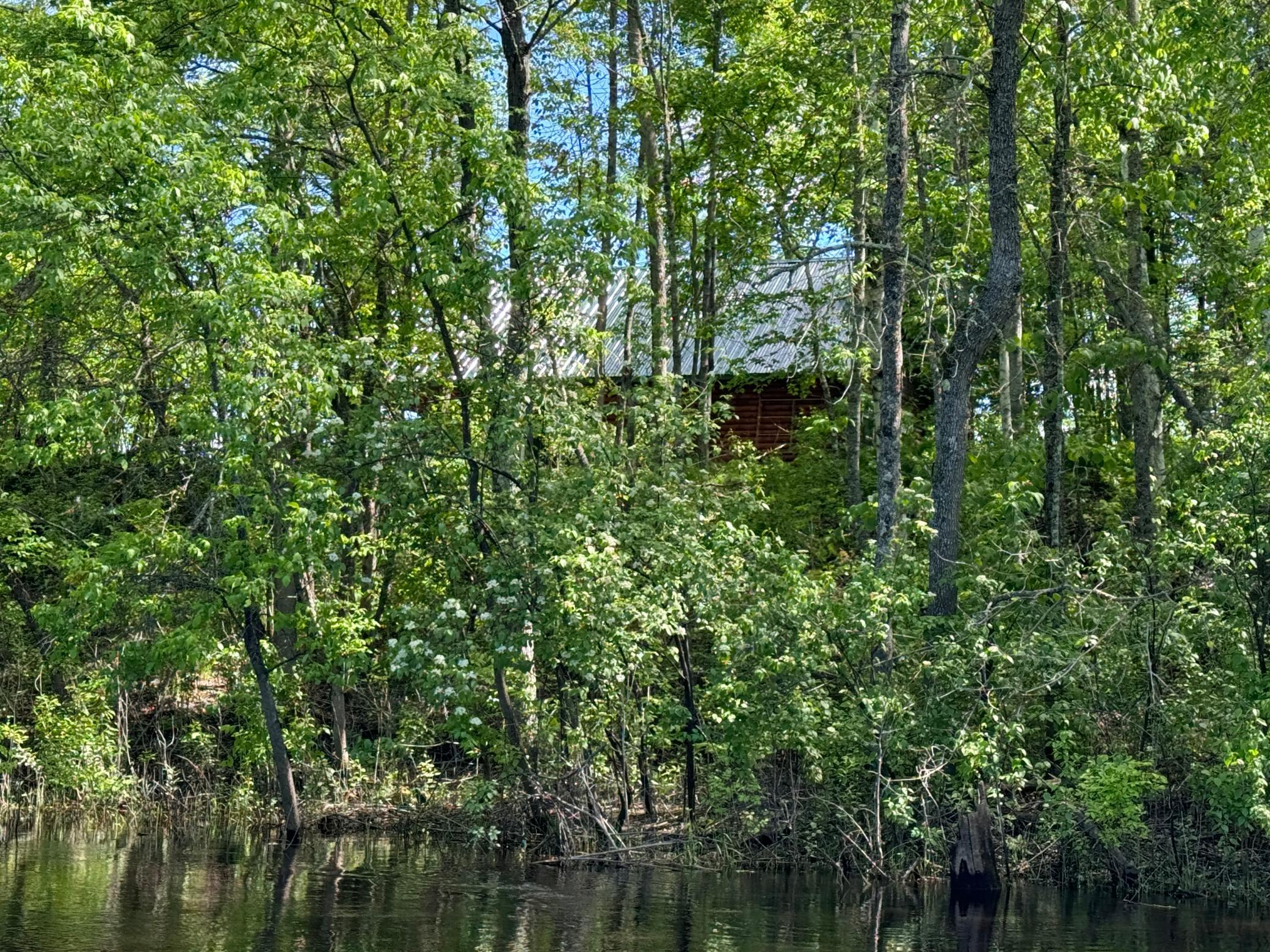 Tbd State Highway 11 Property Photo 58