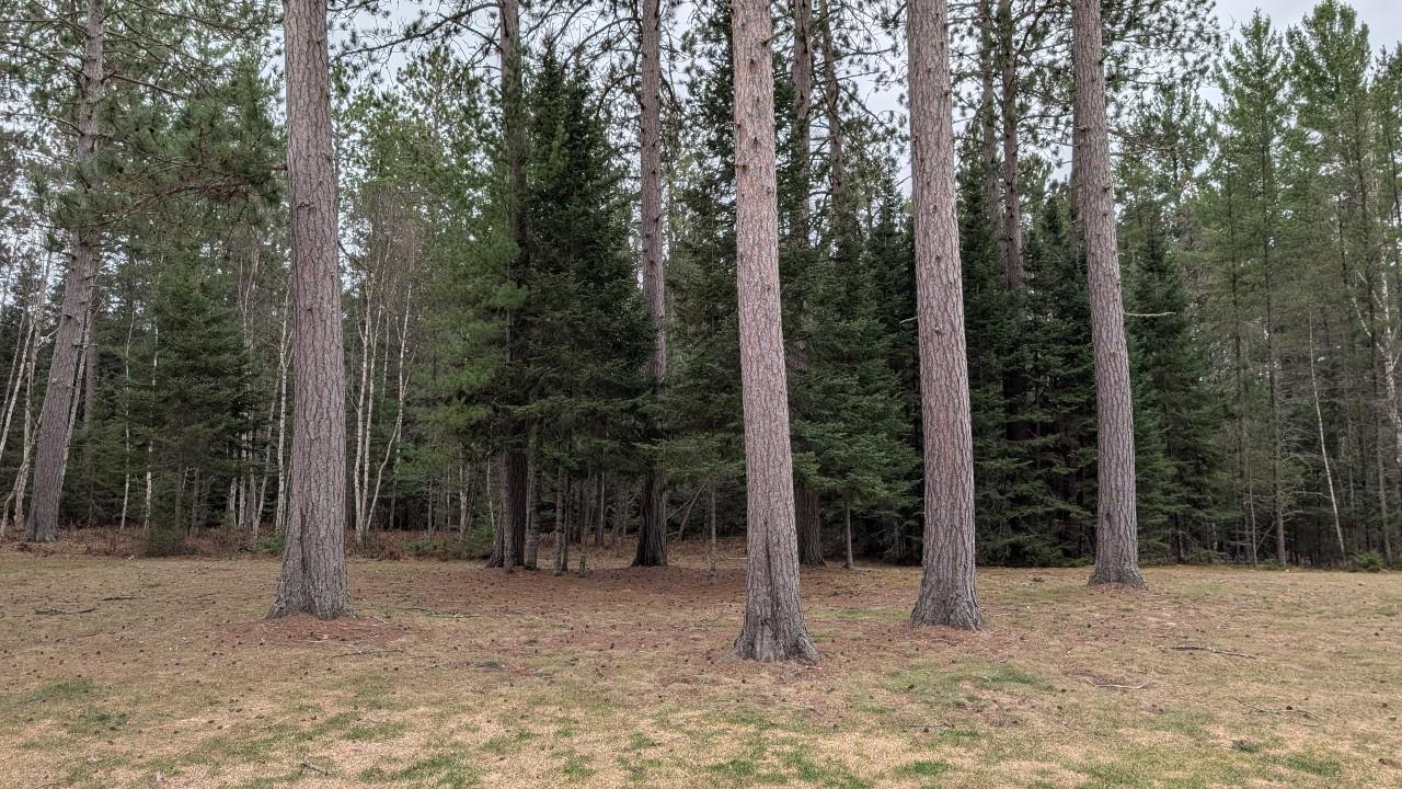 8854 River Road Property Photo 31
