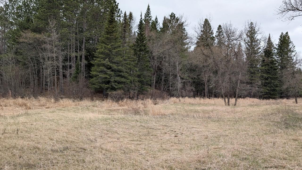 8854 River Road Property Photo 34