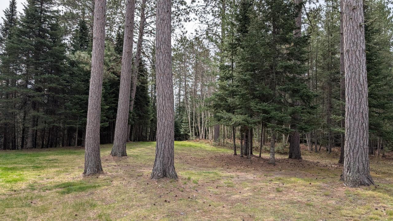 8854 River Road Property Photo 39