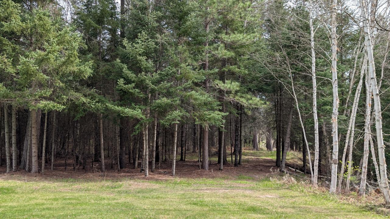 8854 River Road Property Photo 41